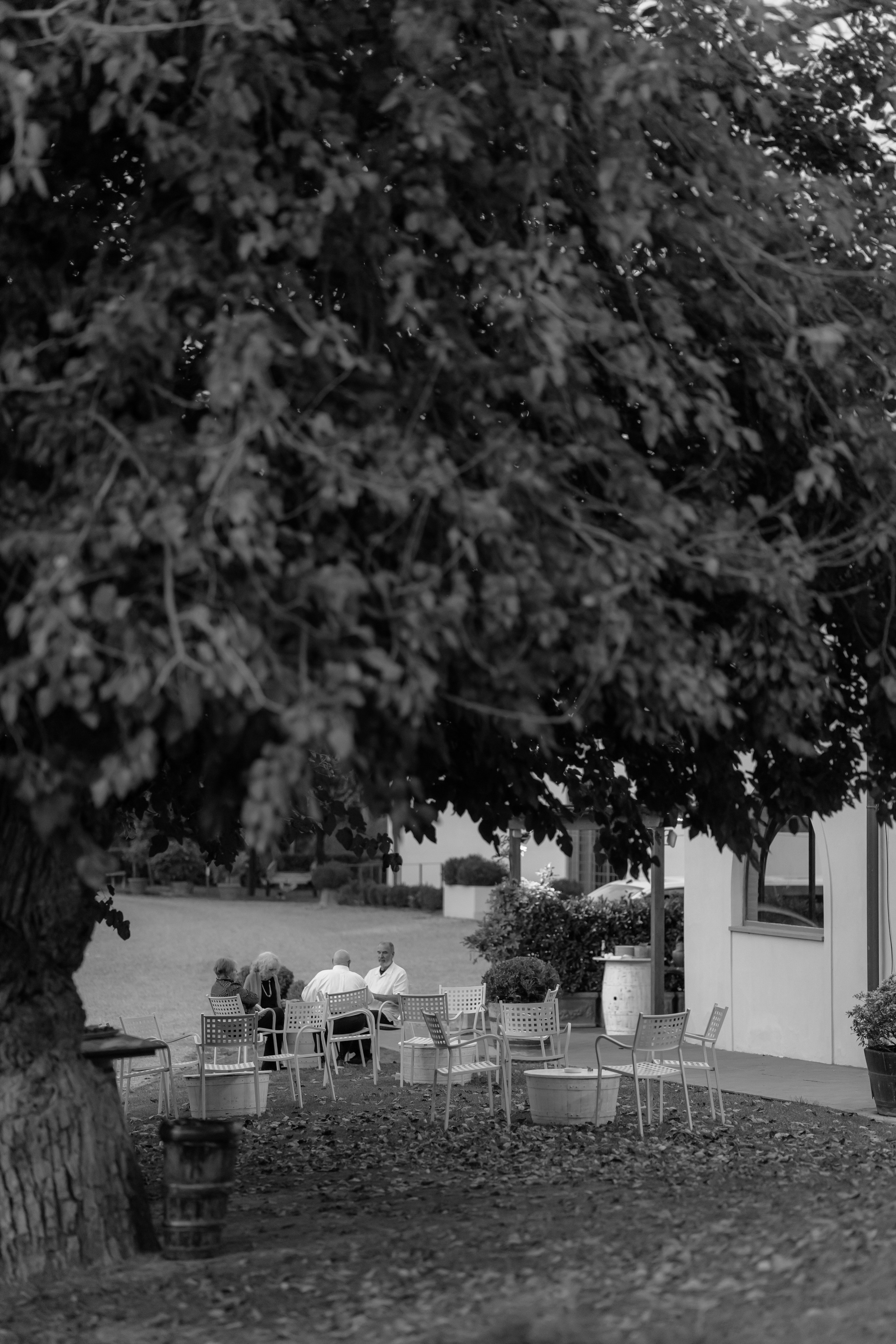 Dom&Ally. Весільний фотограф Вікторія Саврук