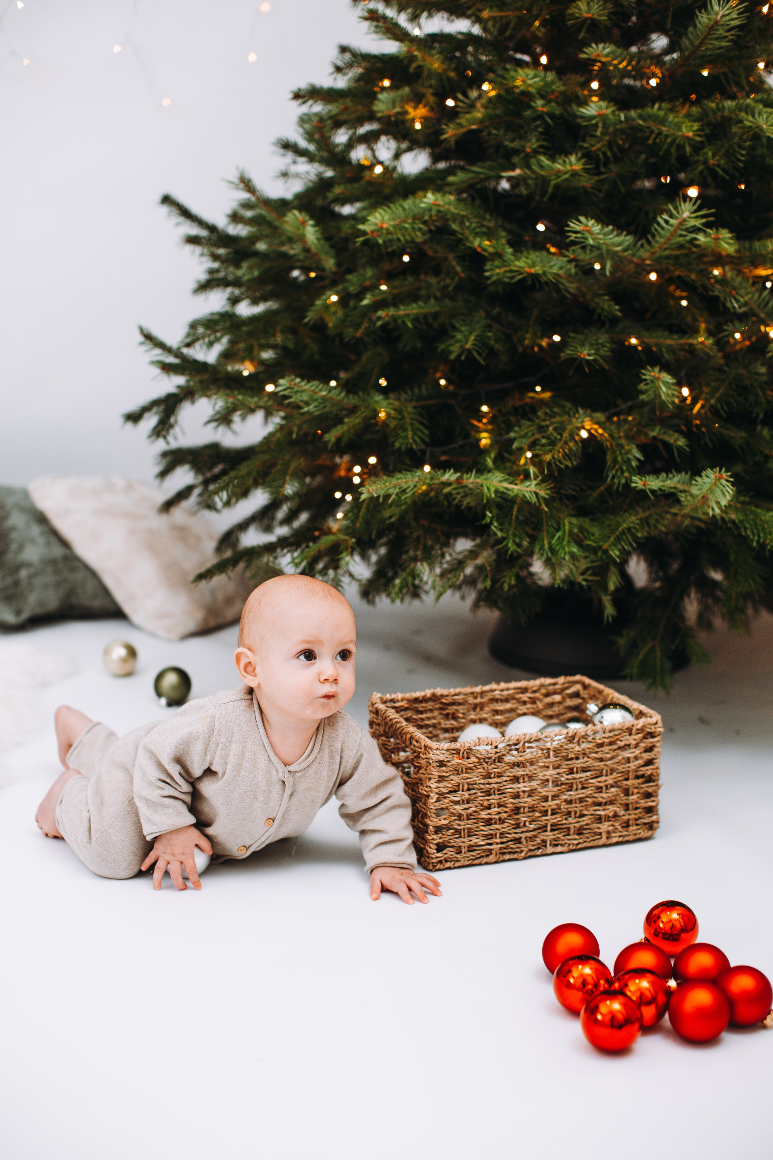 Weihnachtsshooting. Dienstleistungen