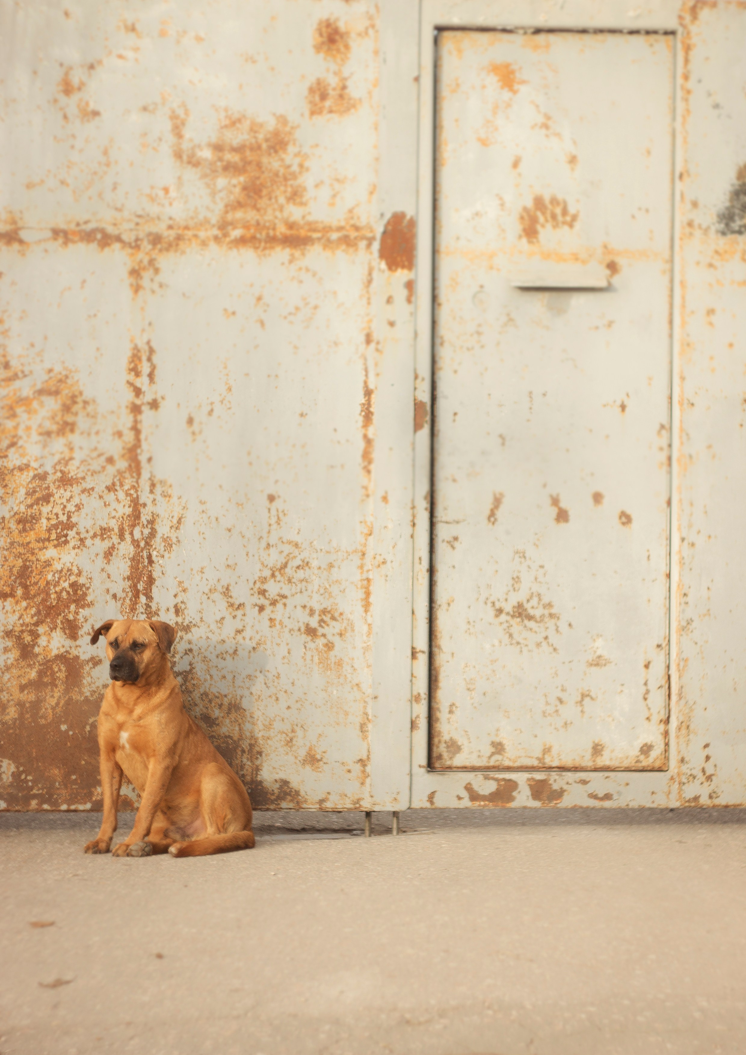 Street photo. Ekaterina Verbitskaya. Photography