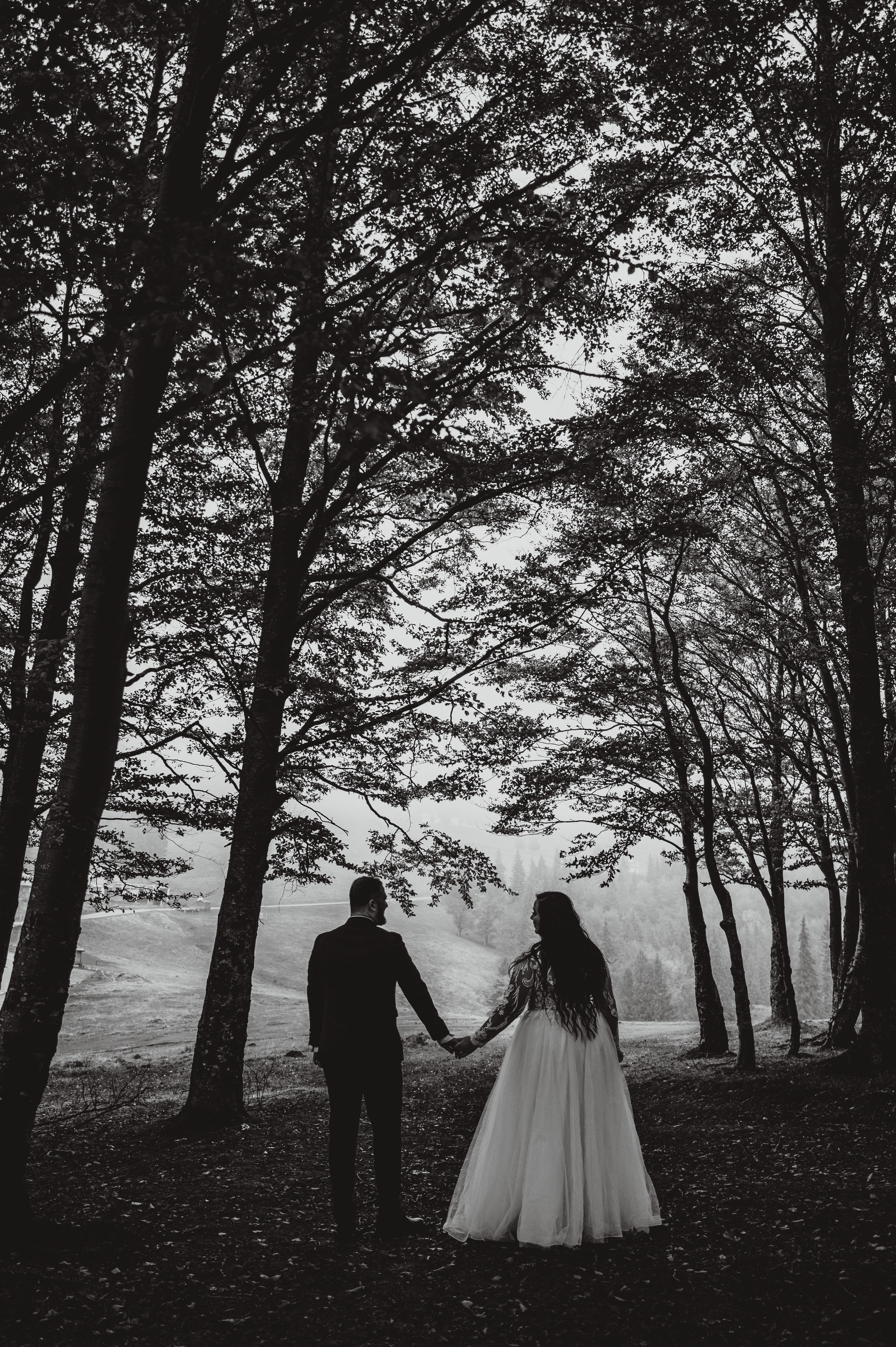 Catalina & Catalin. The Catalins Events — Wedding Photography & Videography