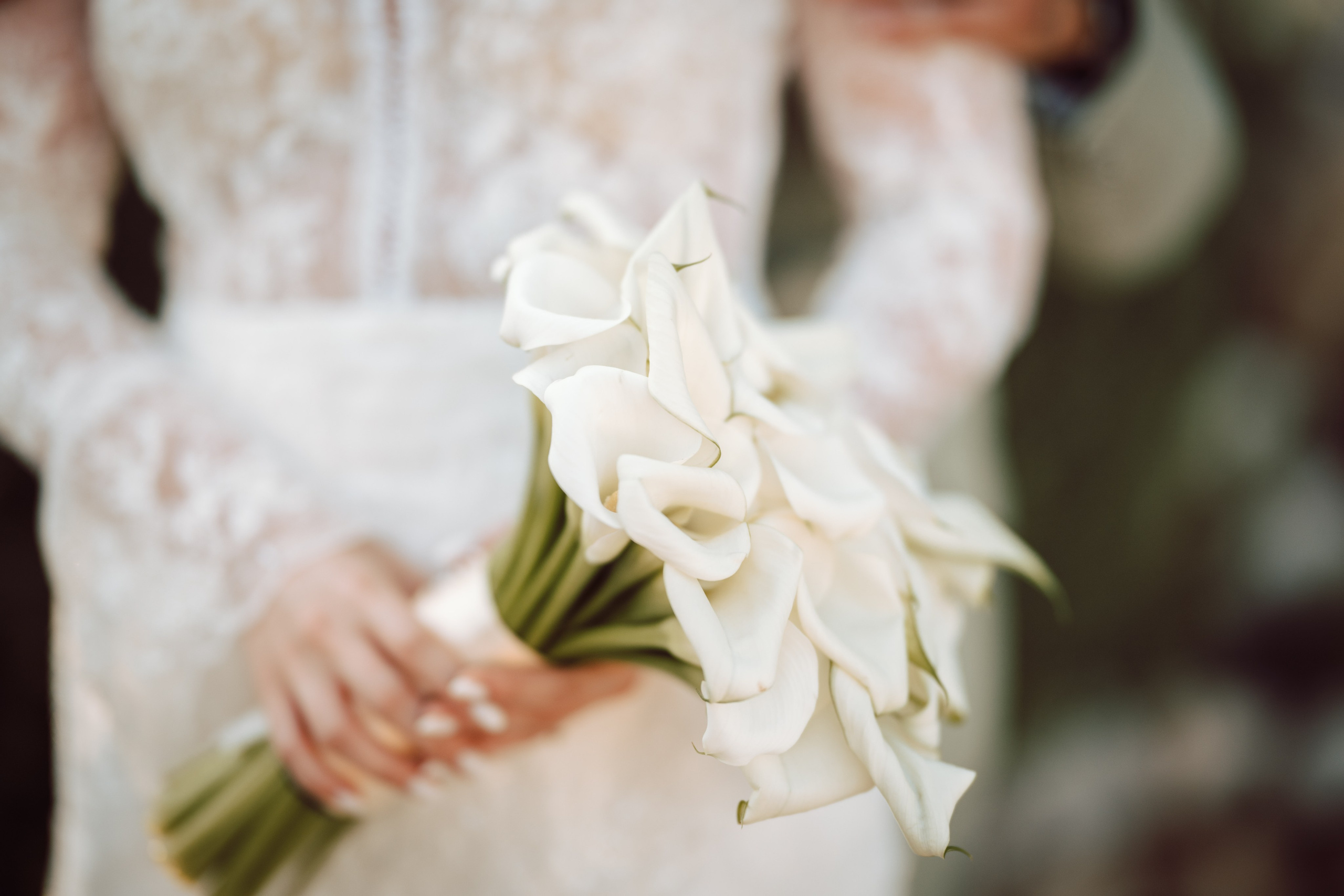 Andreea & Gabriel. The Catalins Events — Wedding Photography & Videography