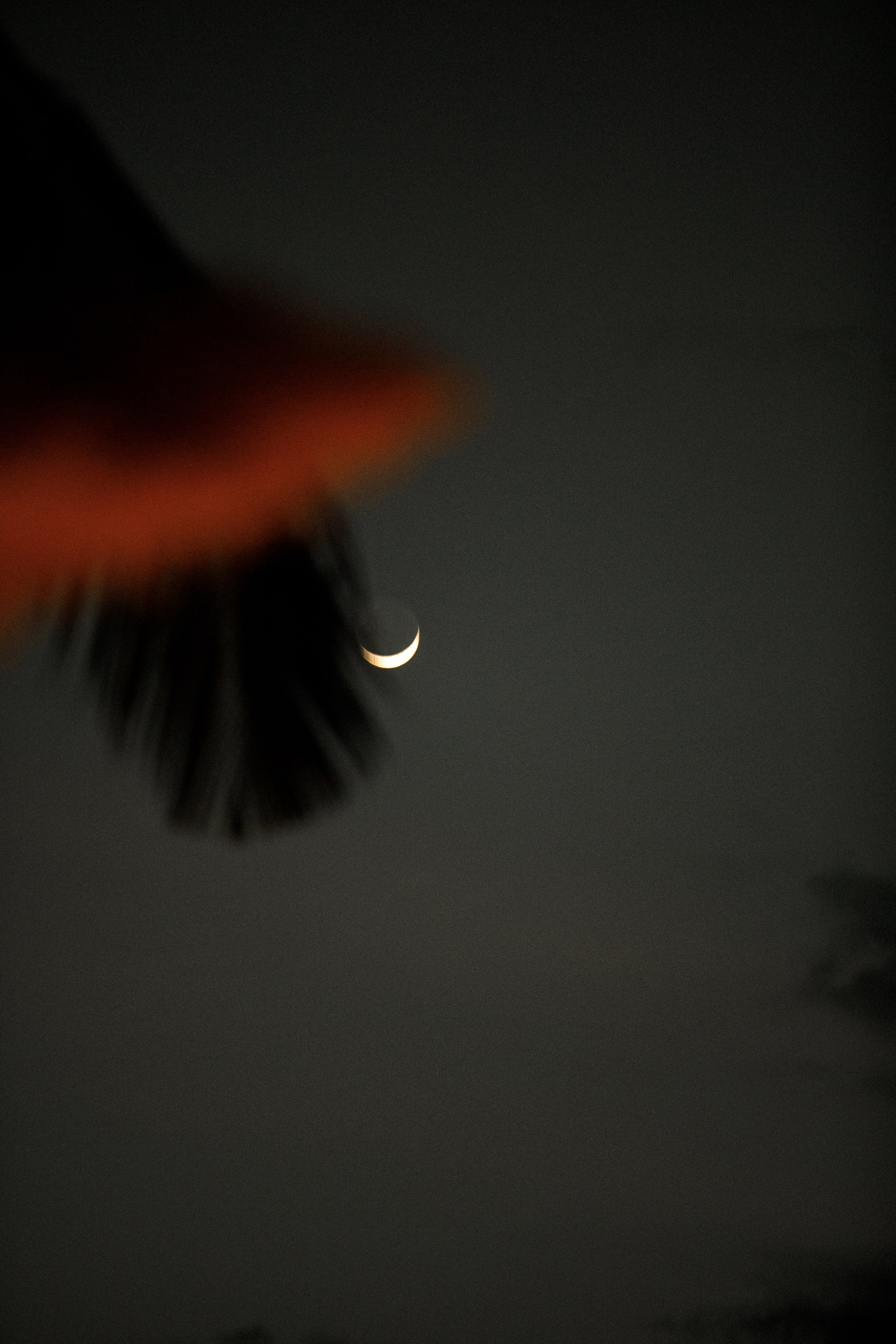 Андрей + Таня. Свадьба в Таиланде Honey Moon Agency