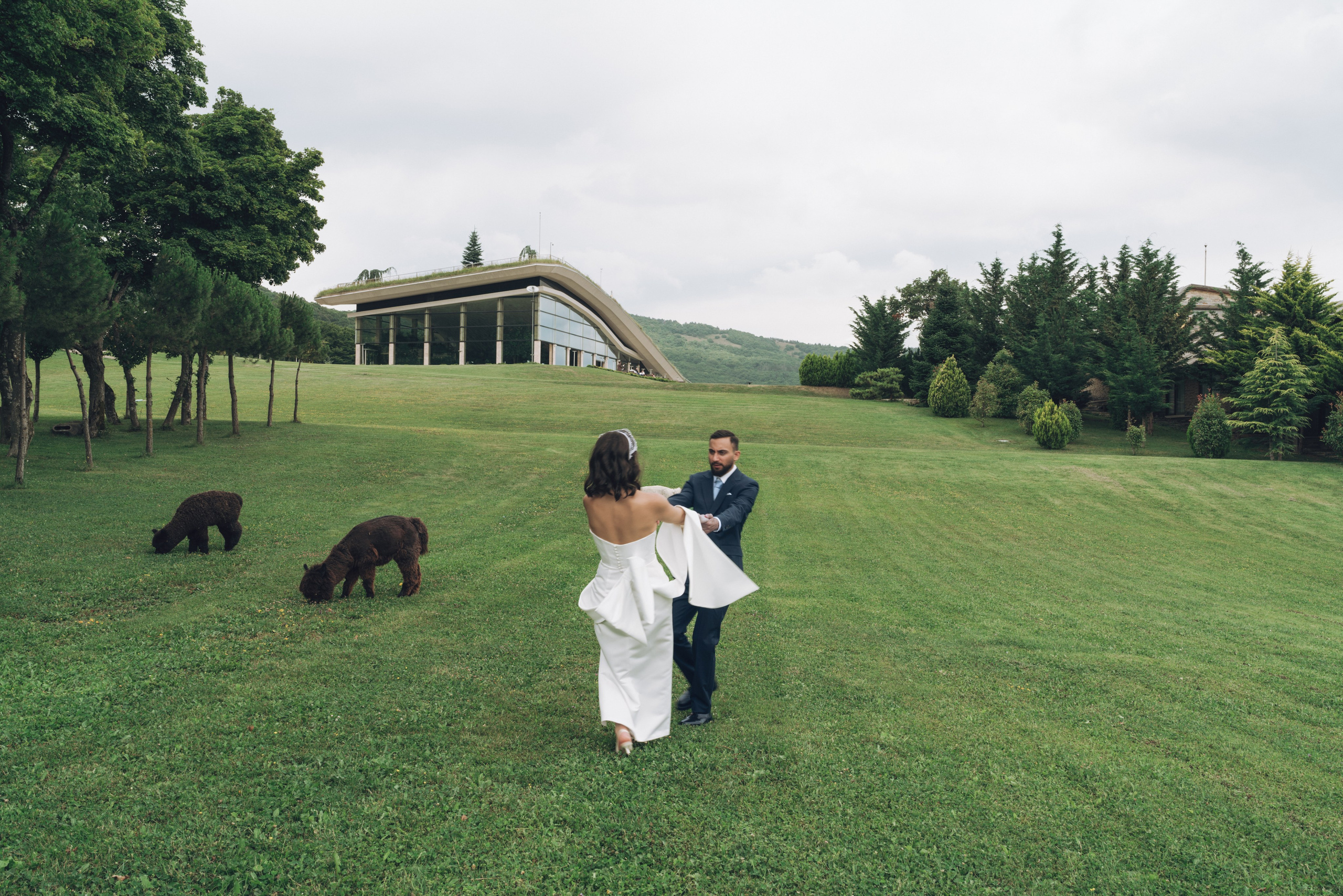 Wedding Bioli. Create your own history with Pierre Studio