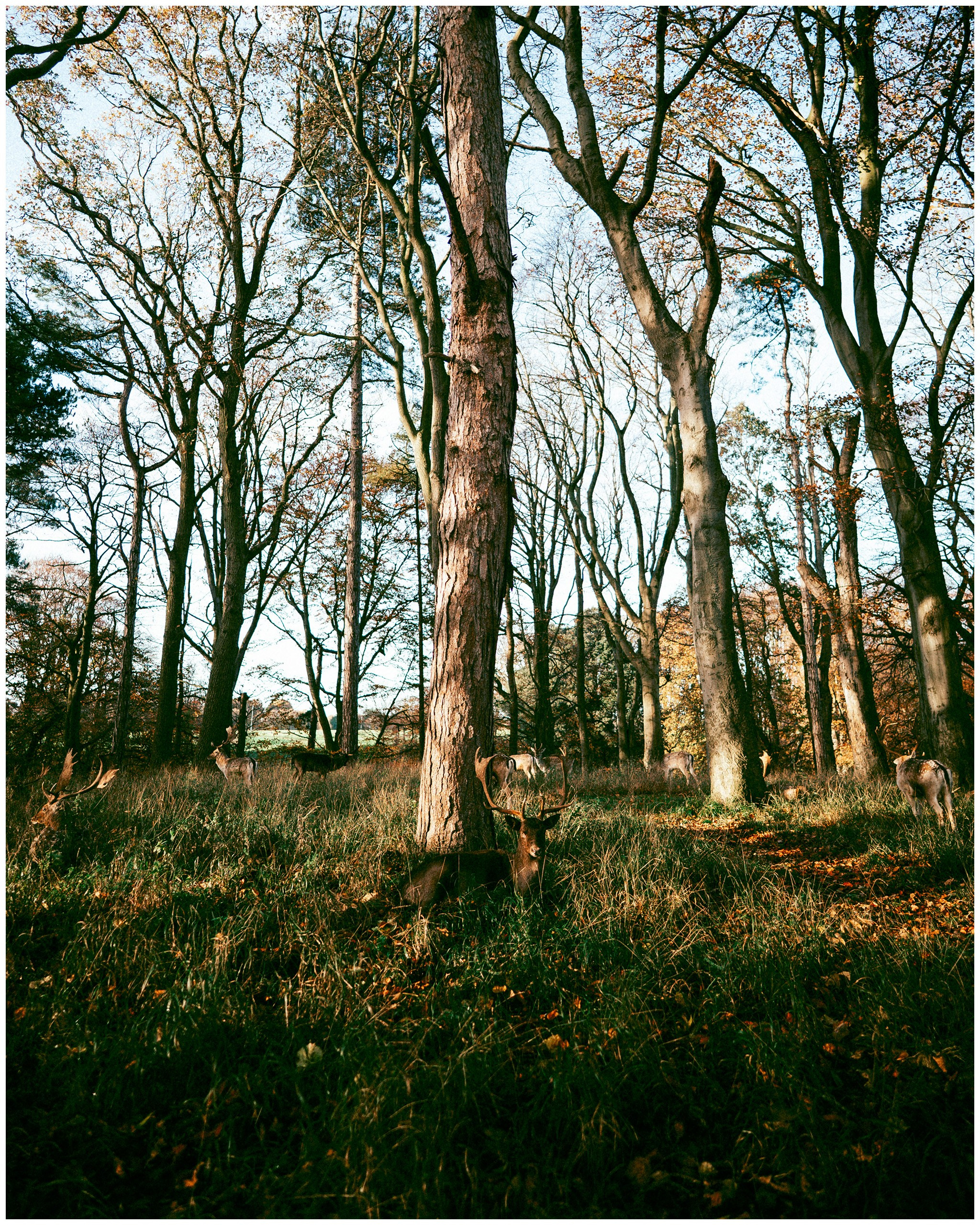 IRELAND. Inna Mendelson — Photographer