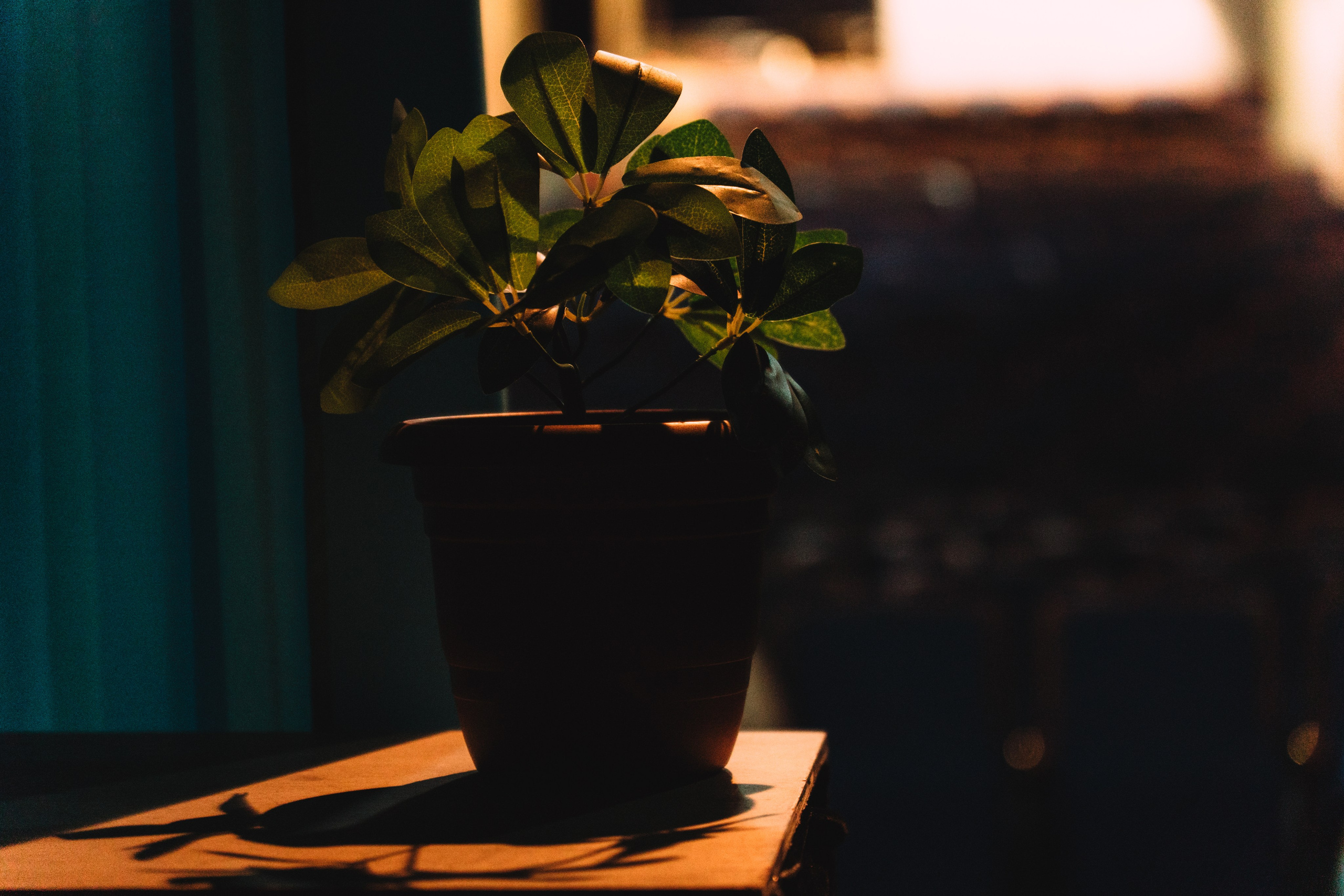 Theater Alef. Art and outdoor photography