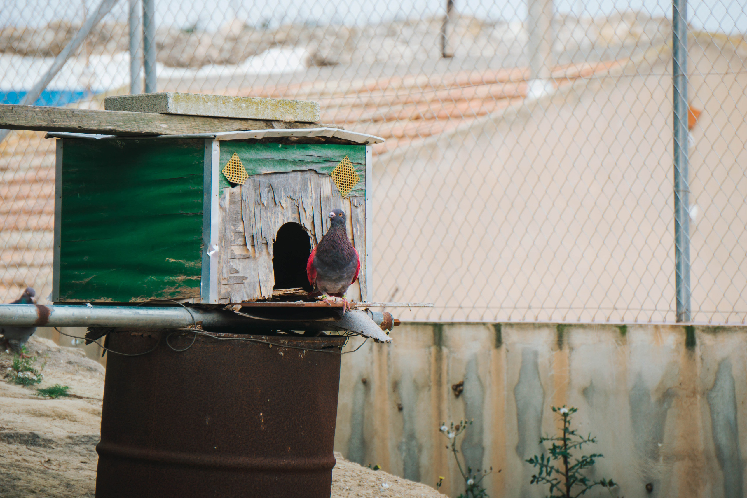 Rojales. Alba del Norte Studio