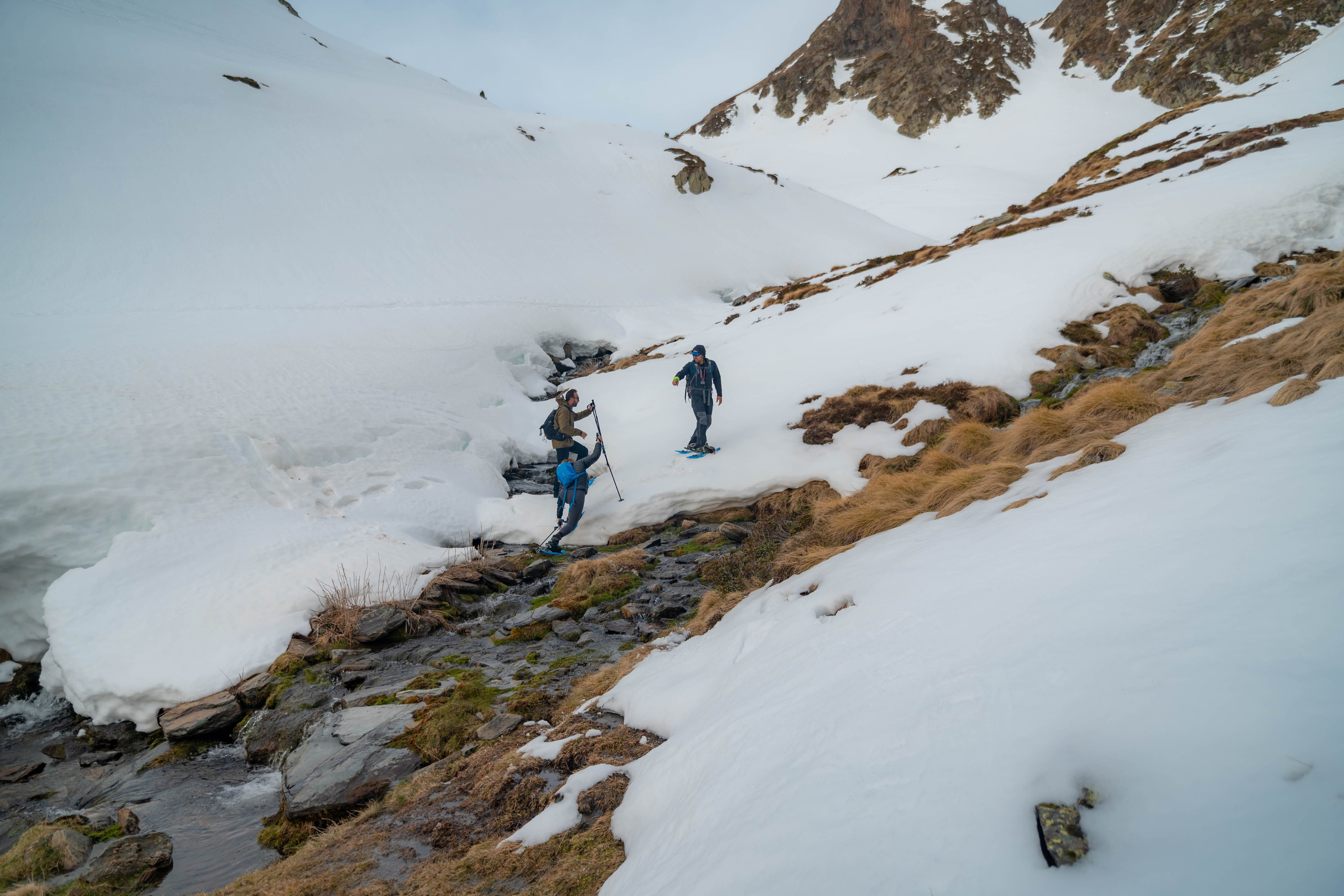 Ruta Comas de Fort. Alba del Norte Studio