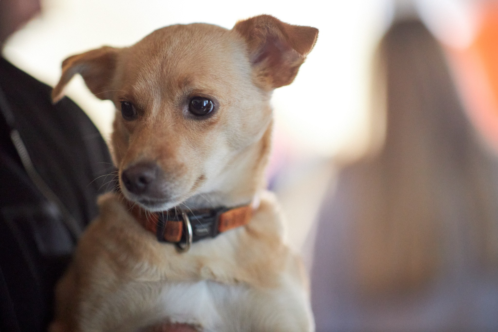 Studio Photogenic. Commercial and studio photographer in Belgrade