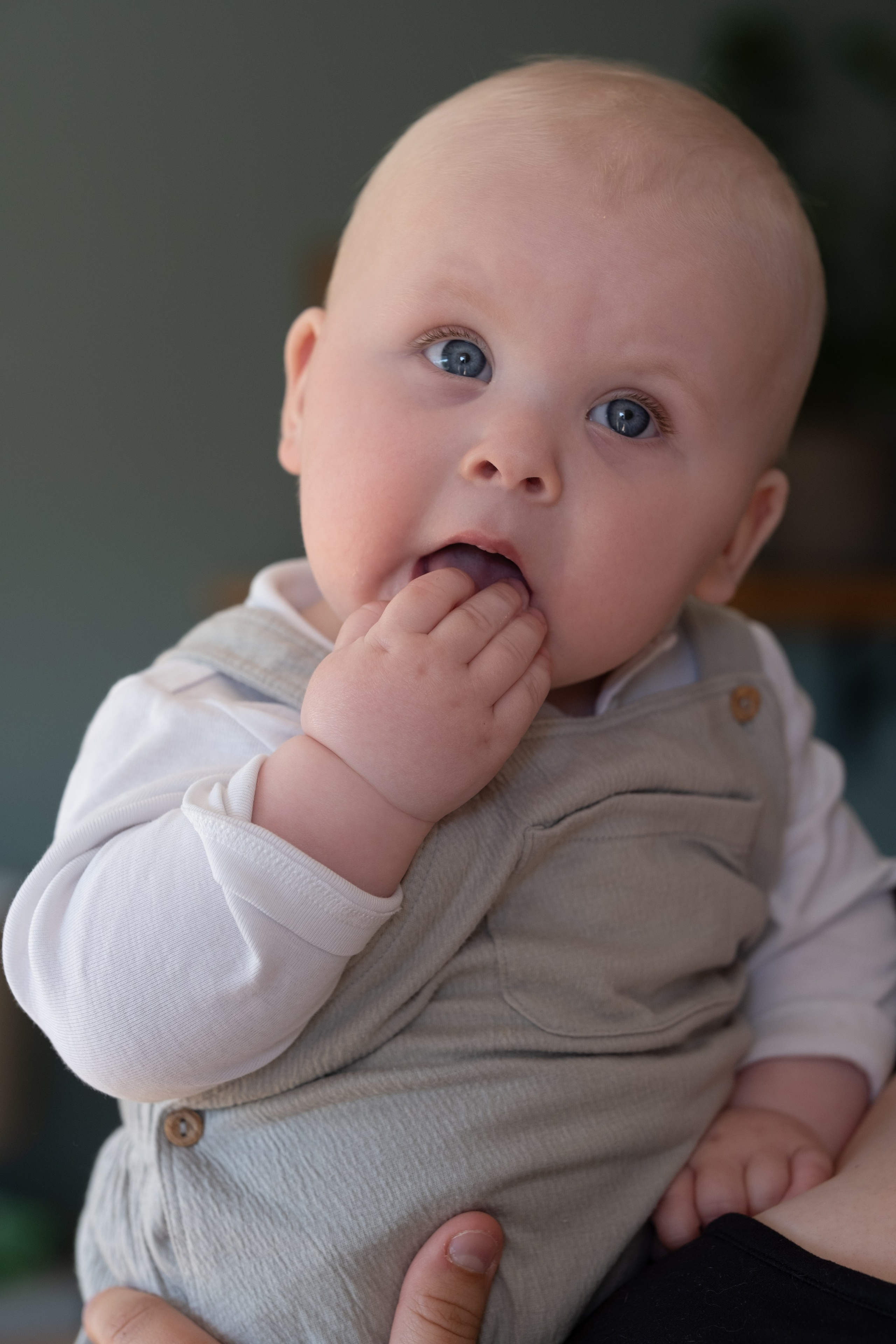 Sußer Junge. Newborn Baby Fotografie Flensburg Babyfotoshooting