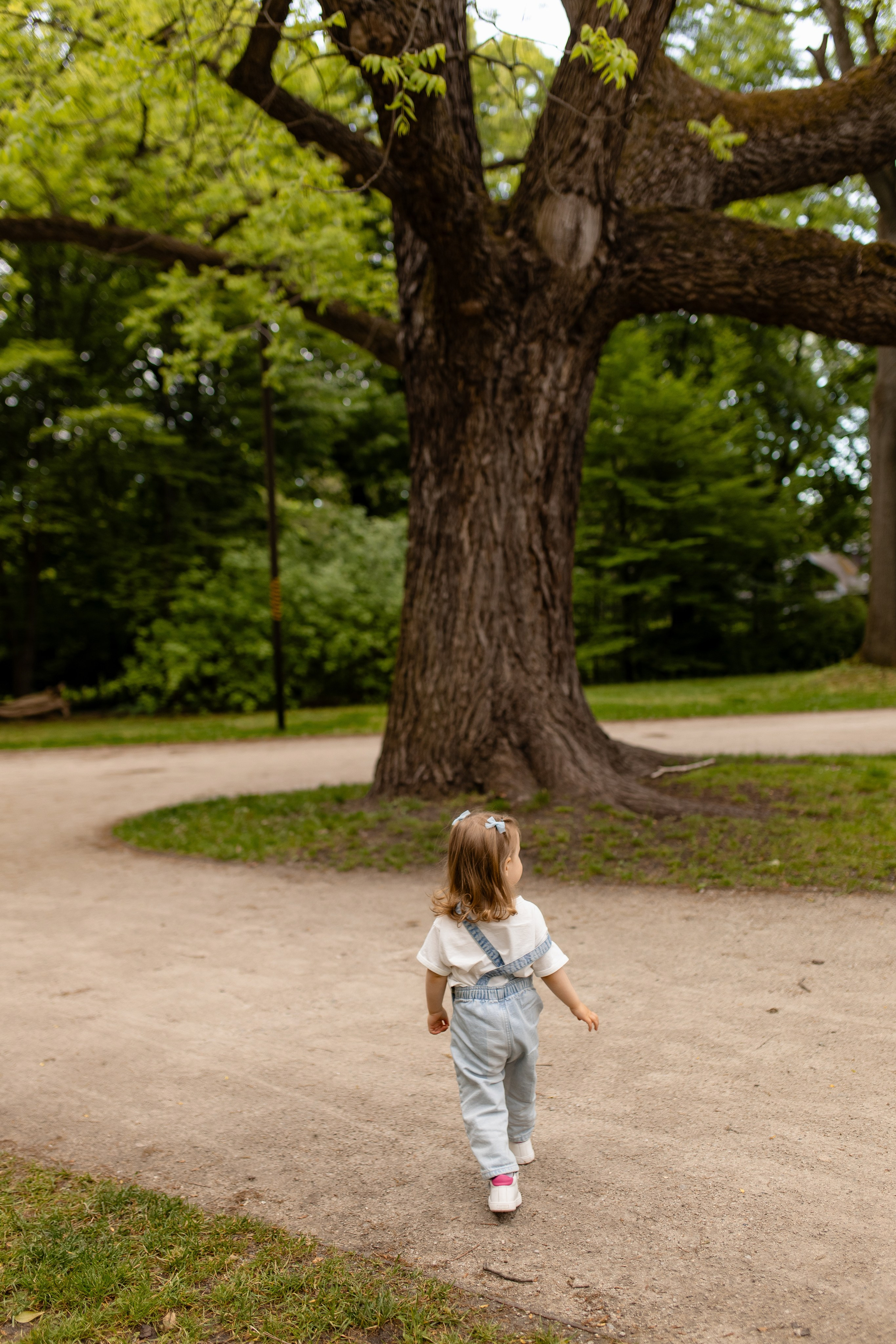 Настя Єва Денис. Весільний, сімейний фотограф Варшава