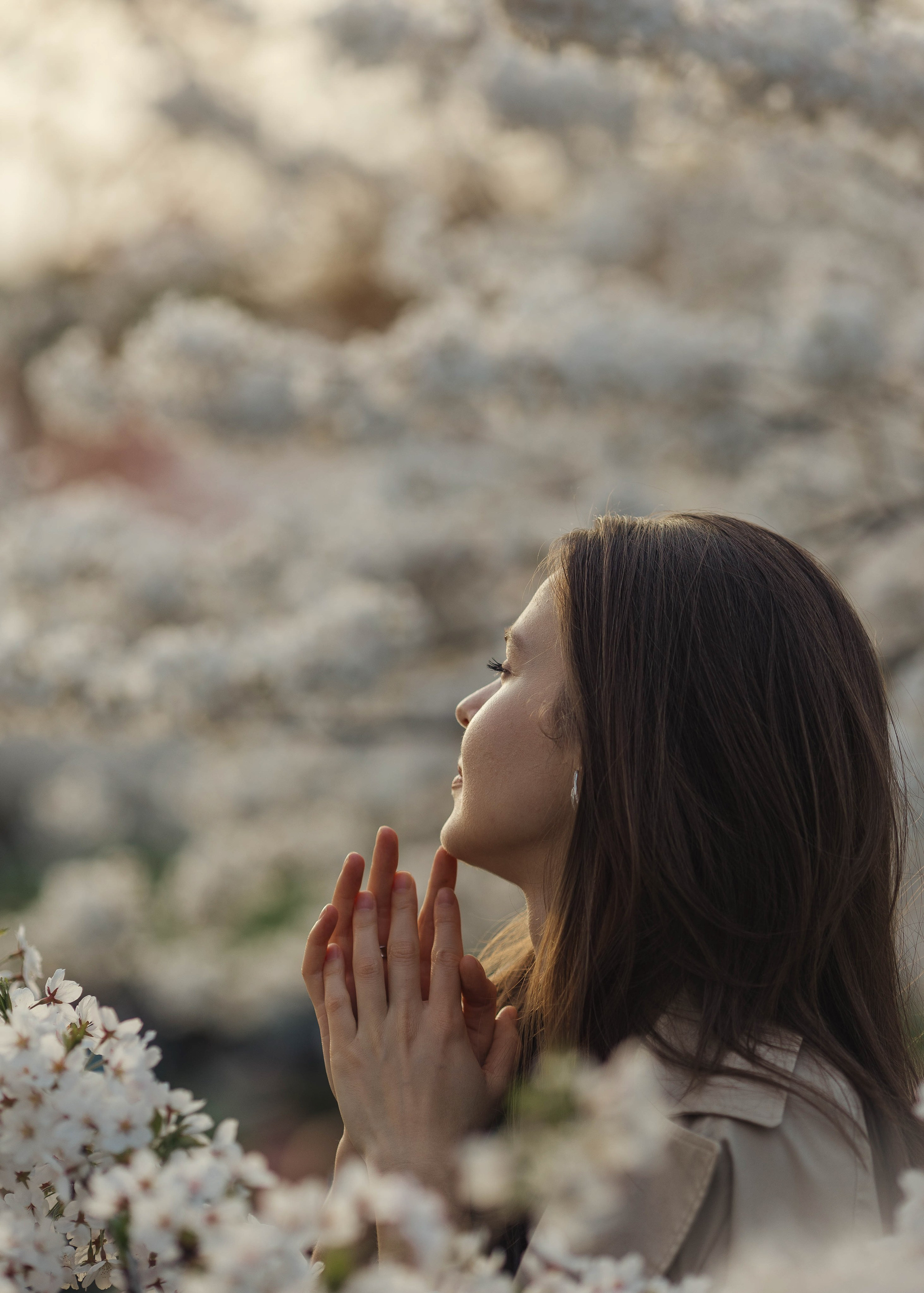 Прогулка Ольги в сакуре. Family photographer in Vilnuis Svetlana Naumova