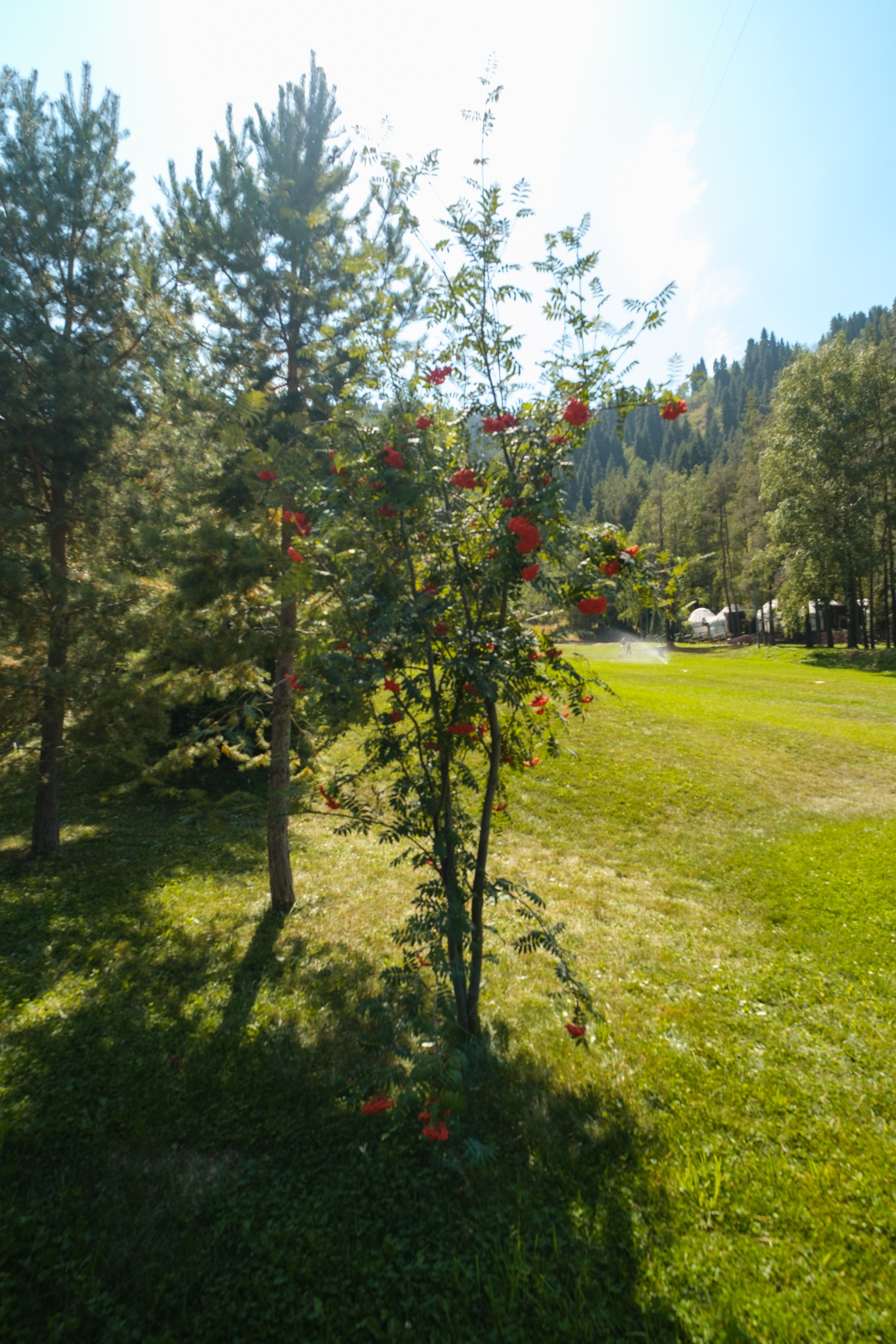 Sigma 12 mm F/1.4 DC DN Contemporary. Фотограф Григорий Кравец