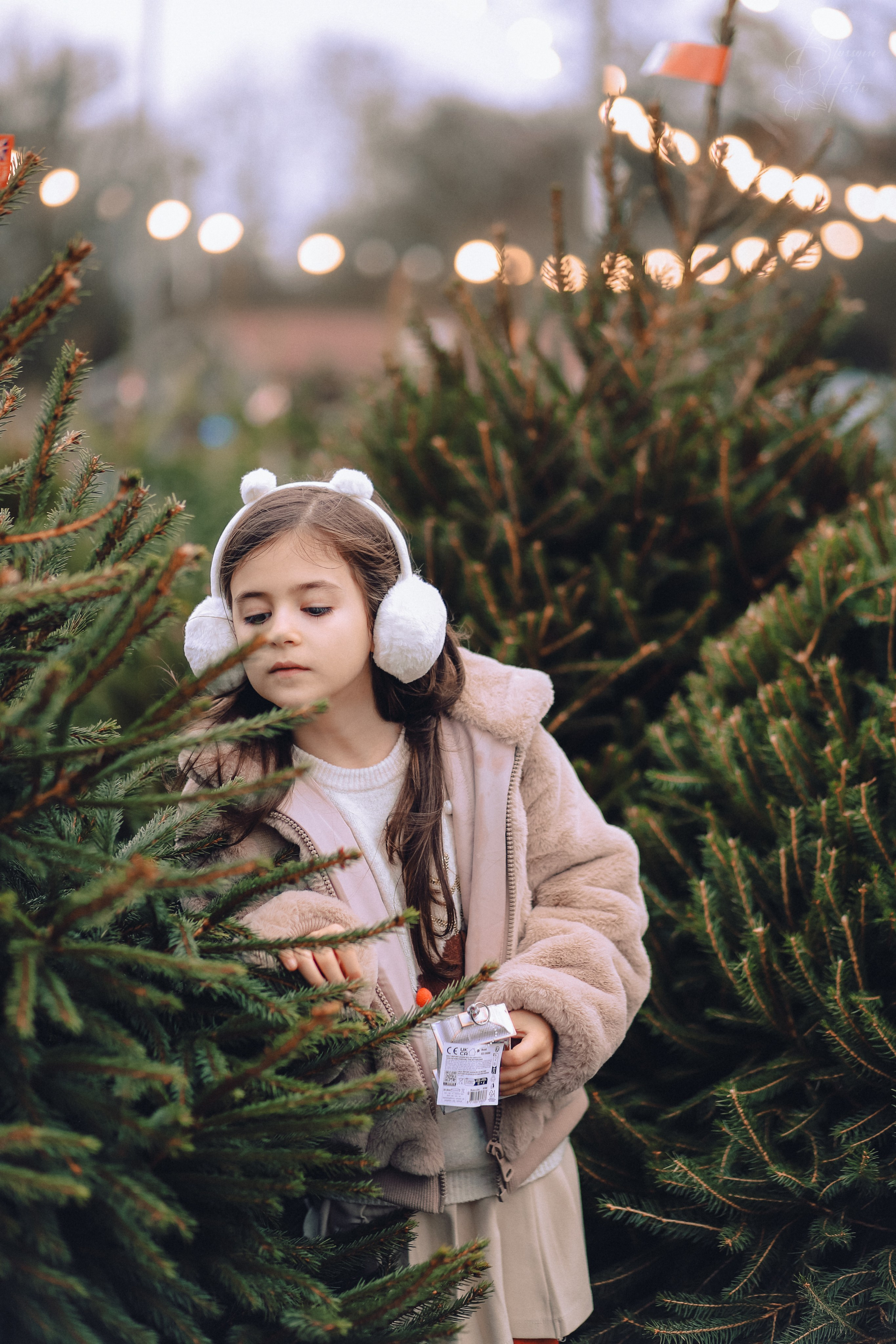 Christmas is coming. Family & children’s photographer in Herts & West London Iryna Blair