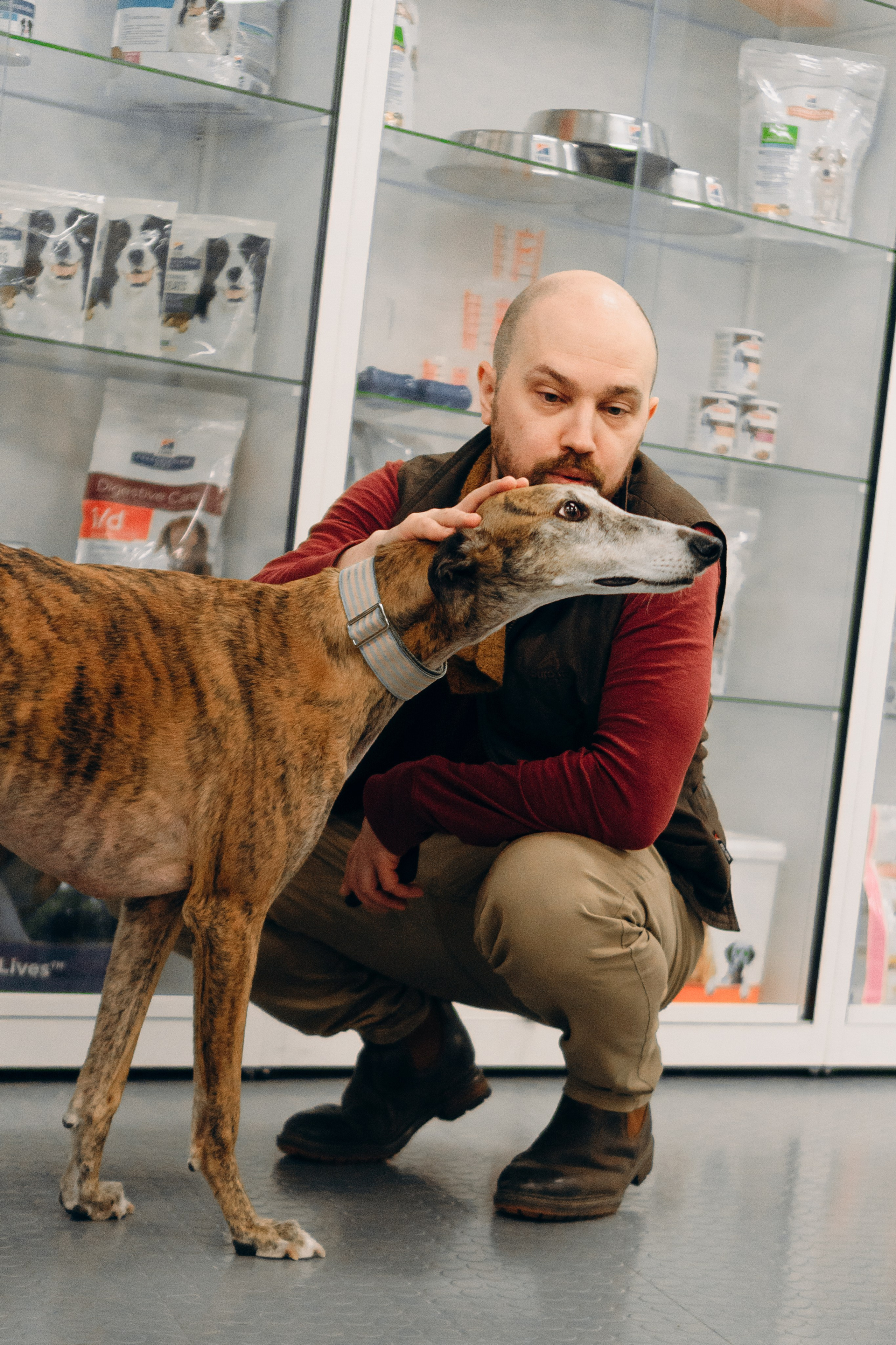 GalgoTreff / PetCity Rannamõisa, 13 apr. 2025. Kat Laisaar — Pet photographer in Tallinn