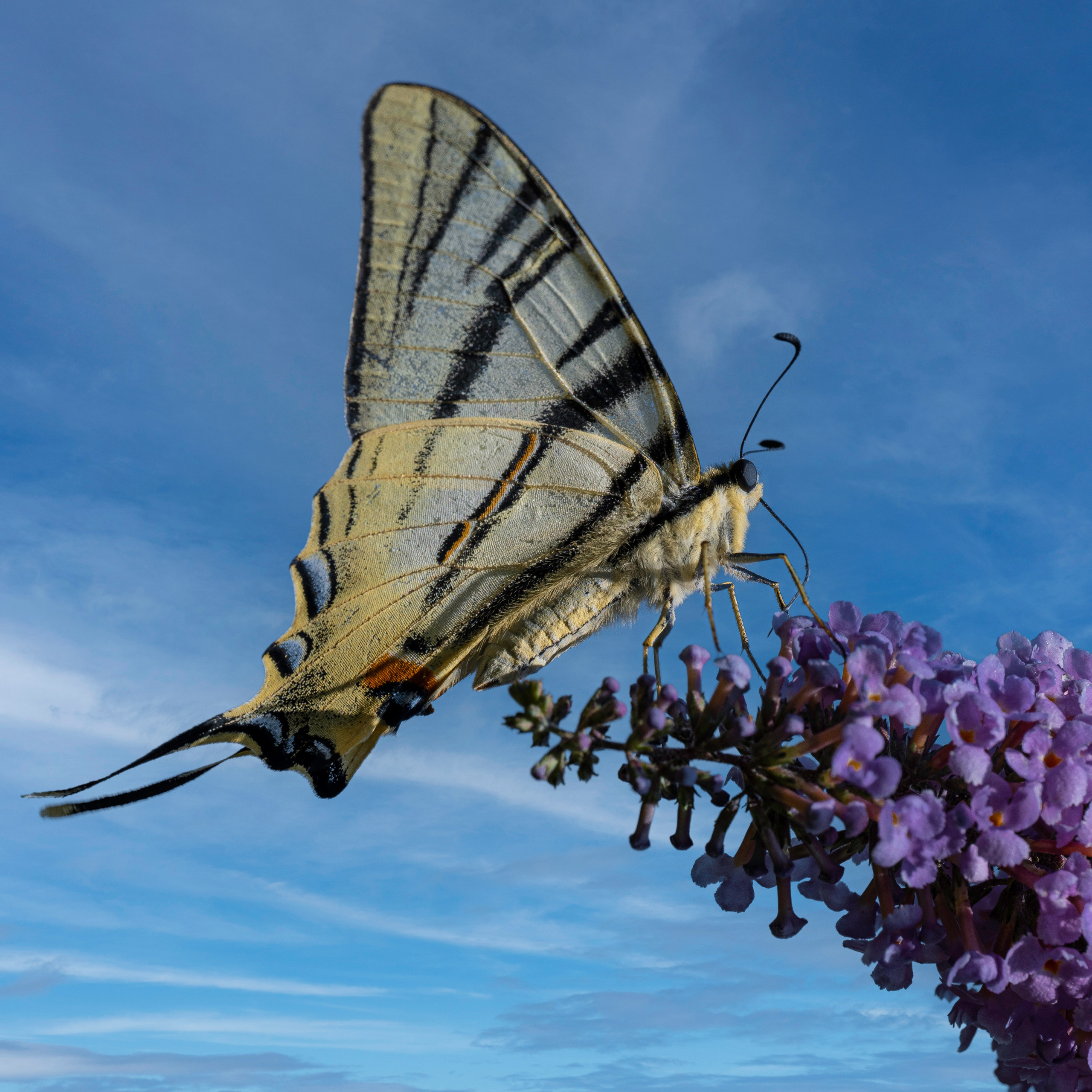 “Gianmaria Coscia fotografo per passione”