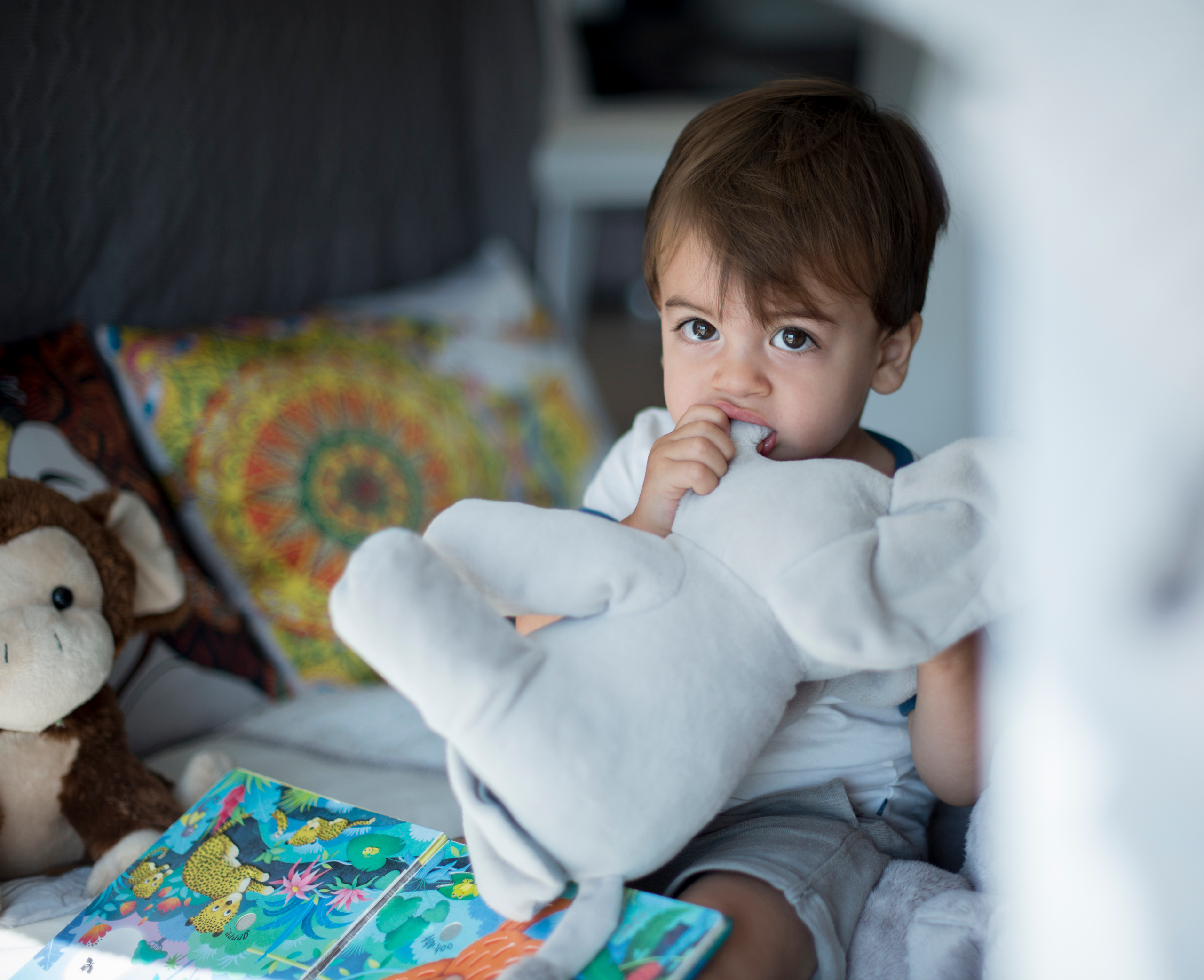 Jason. Наргиз Сулейманова - Фотограф в Азербайджане