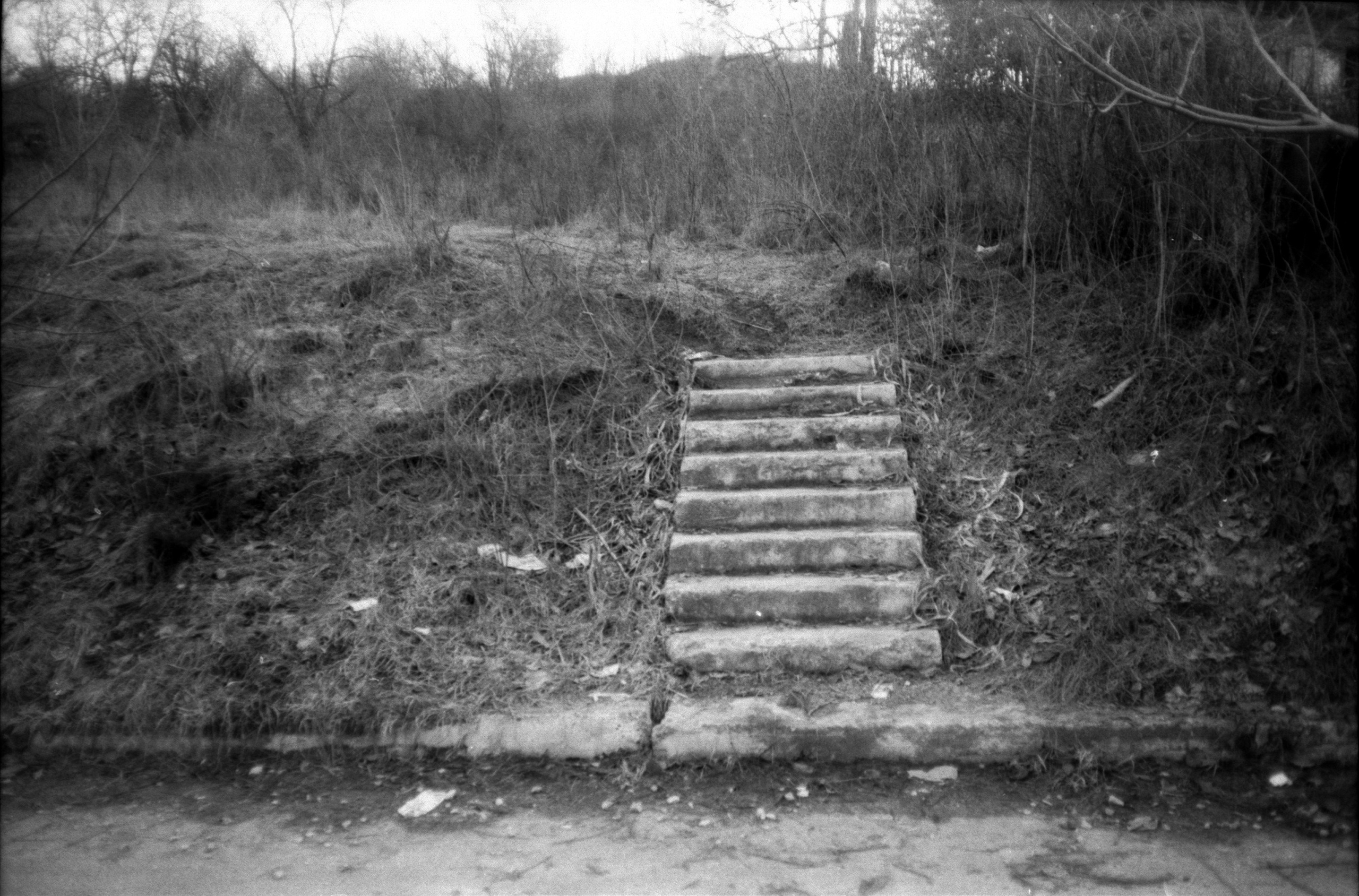 Garden of stones. Natalia Parfenova visual artist film photographer