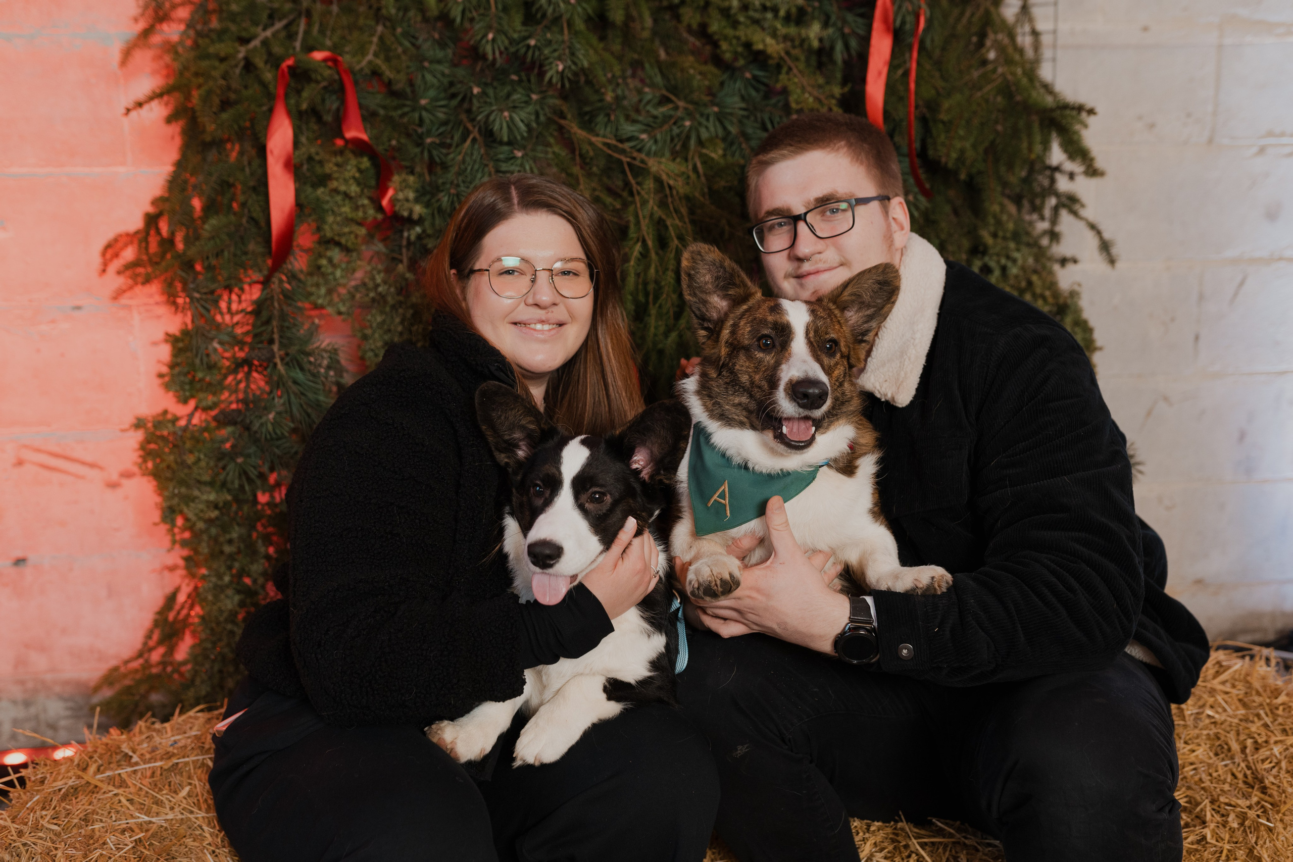 Corgi fest. Event Photography