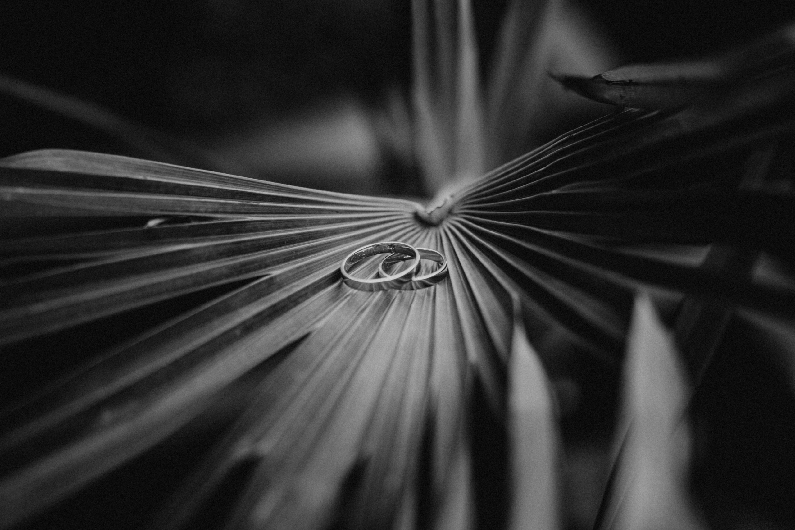 Fotografía de Bodas en Madrid - Rainbox: Capturamos Tu Amor con Pasión. Rainbox Estudio de Fotografía