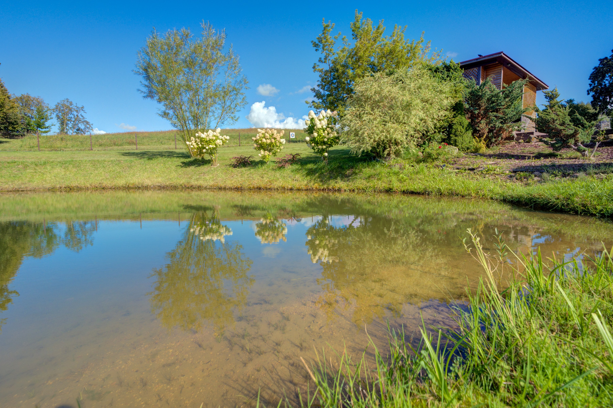 Sadyba Vinliaus r. prie ežero. Elina Sapiega fotografė Vilniuje