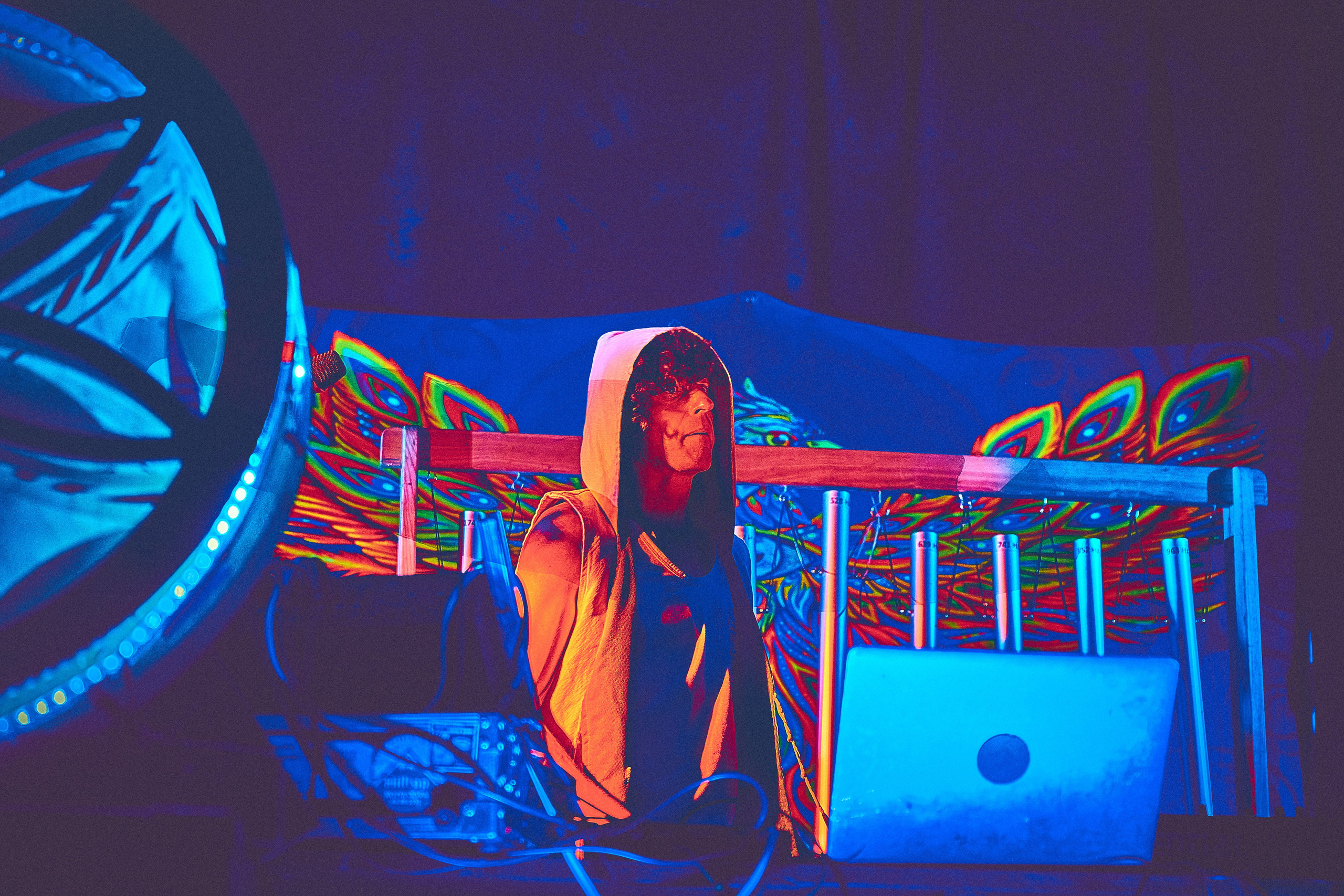 Organic-2025. Andriej Szypilow — Photography & Videography