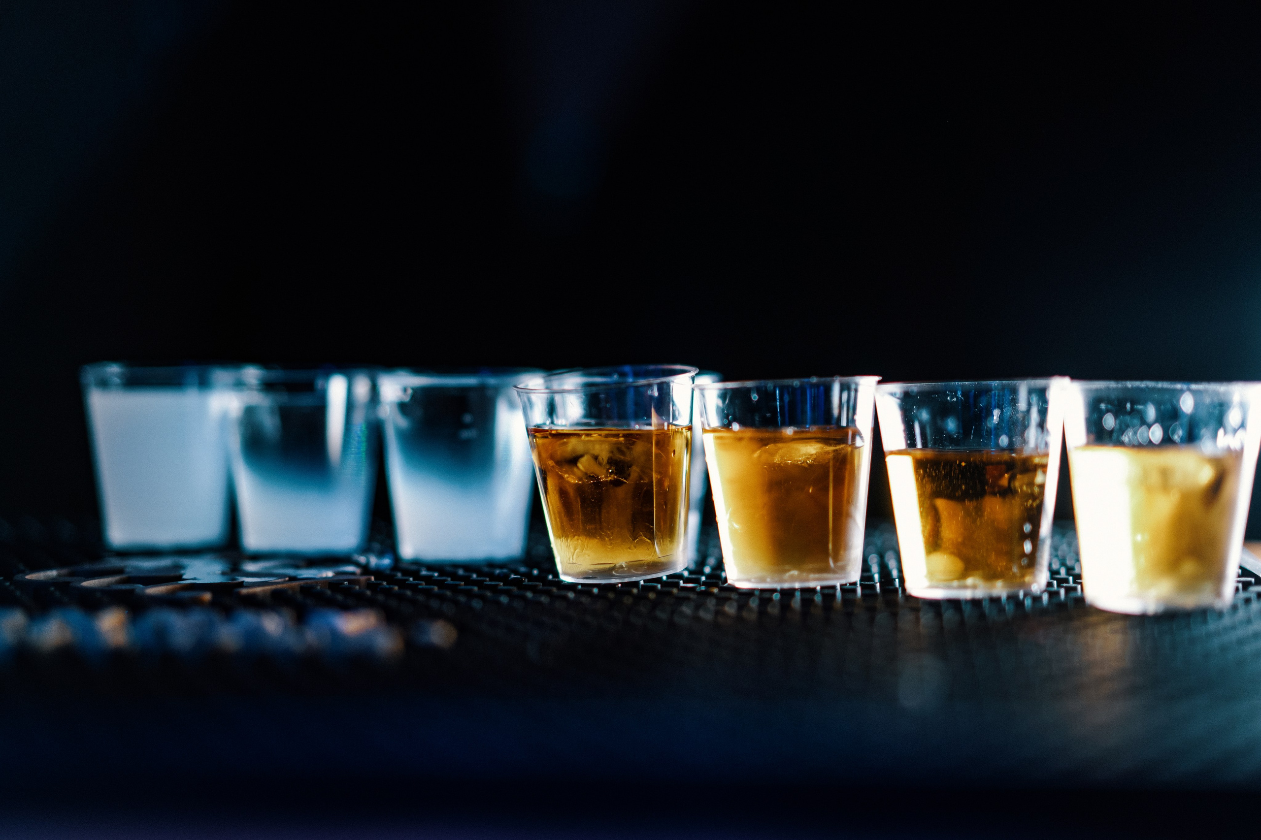 Ella and Pavel. Dmitry Gorodetsky Event Photographer