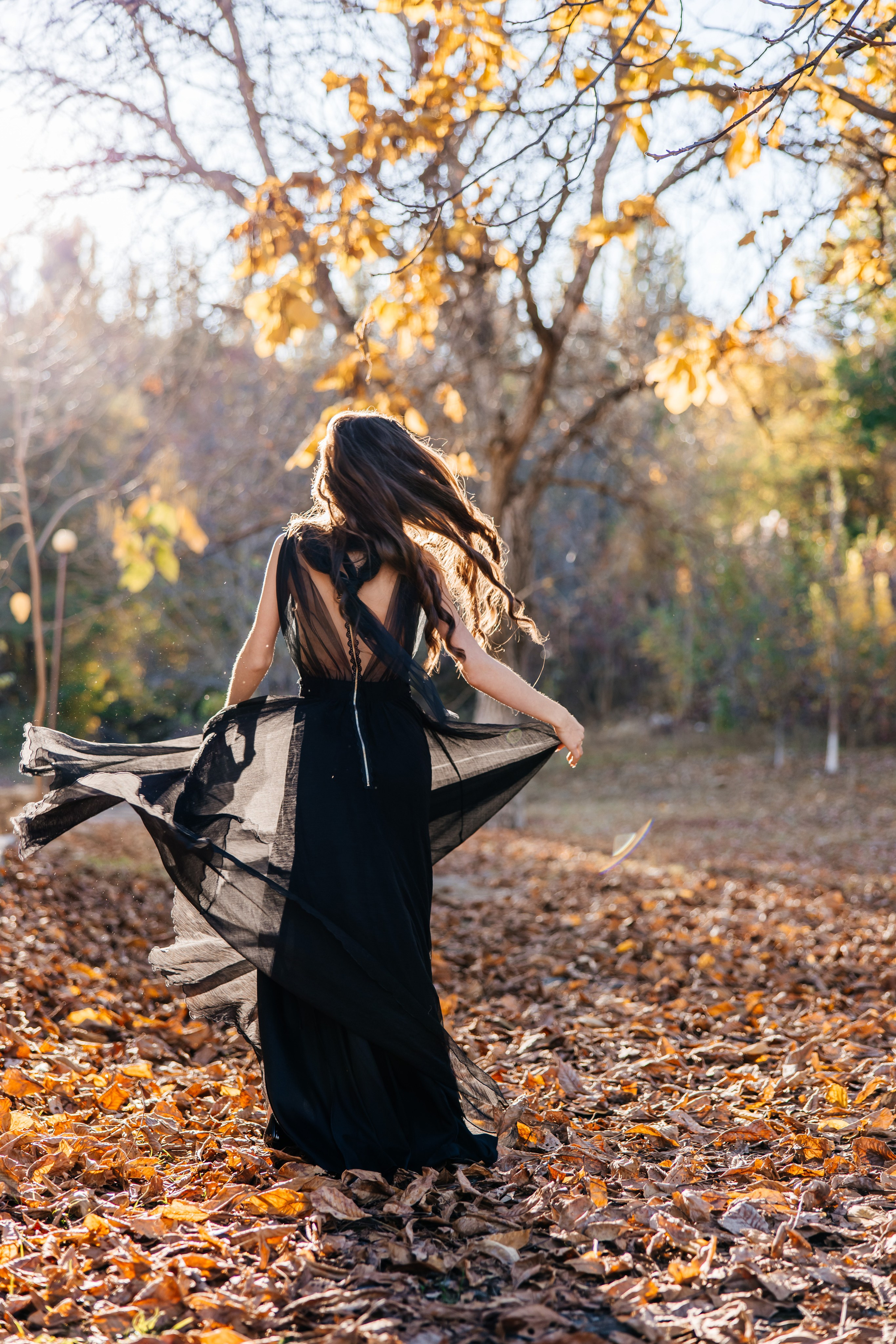 Mark. Furduidumitru.com