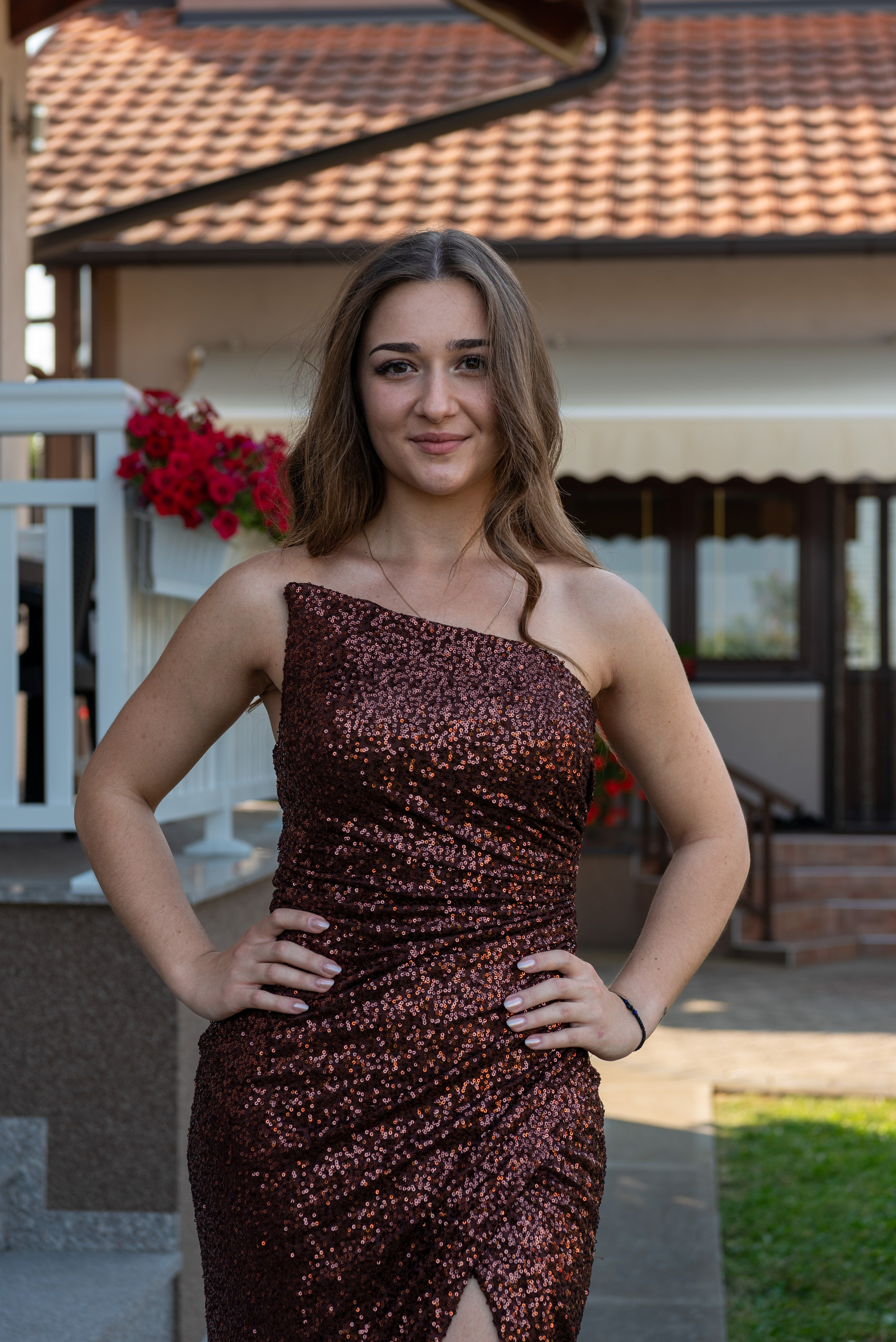 Portfolio. Dragan Janković