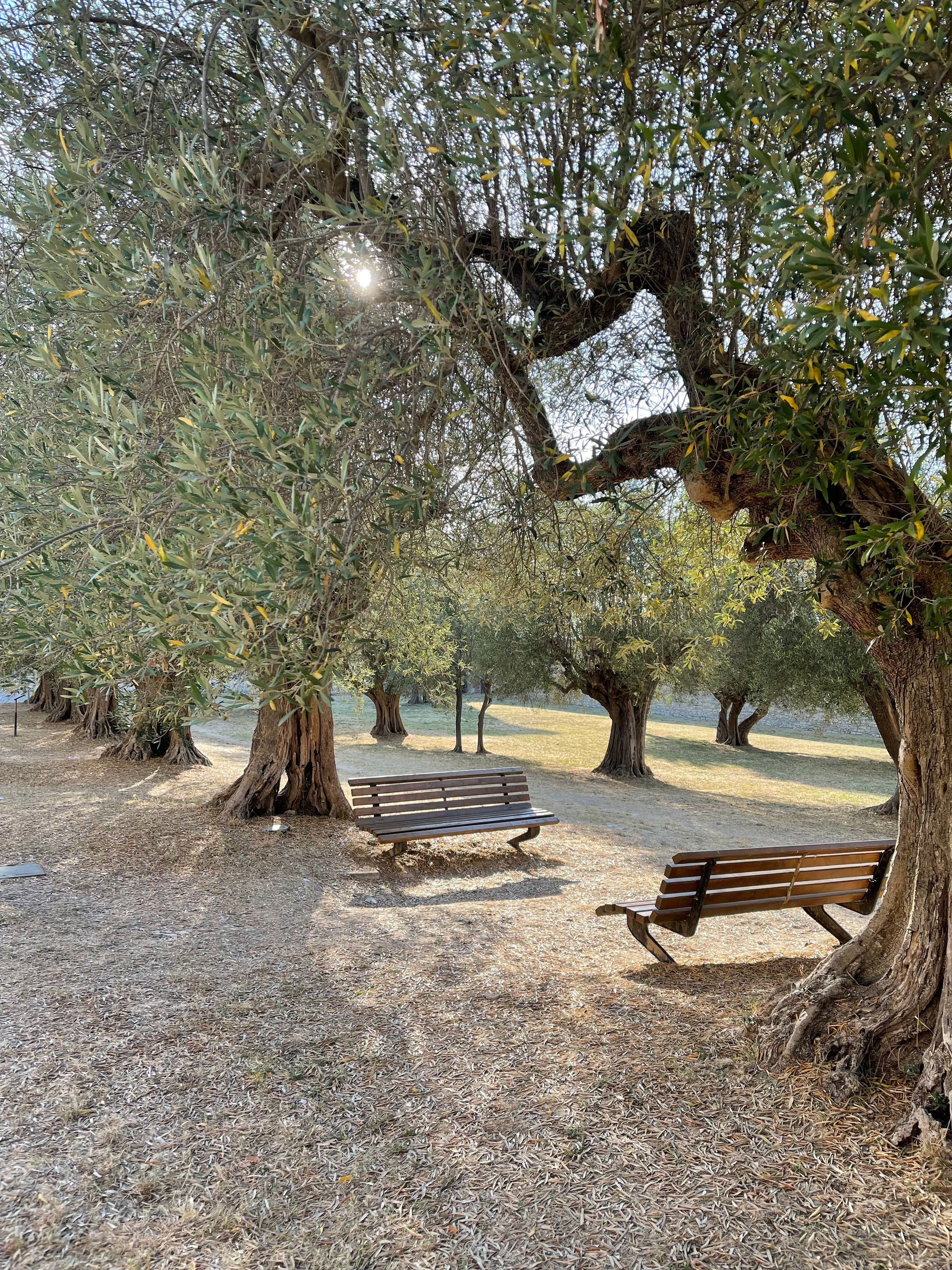 Places. Sensory Luxury Tours — Exclusive Private Journeys in Umbria and Tuscany