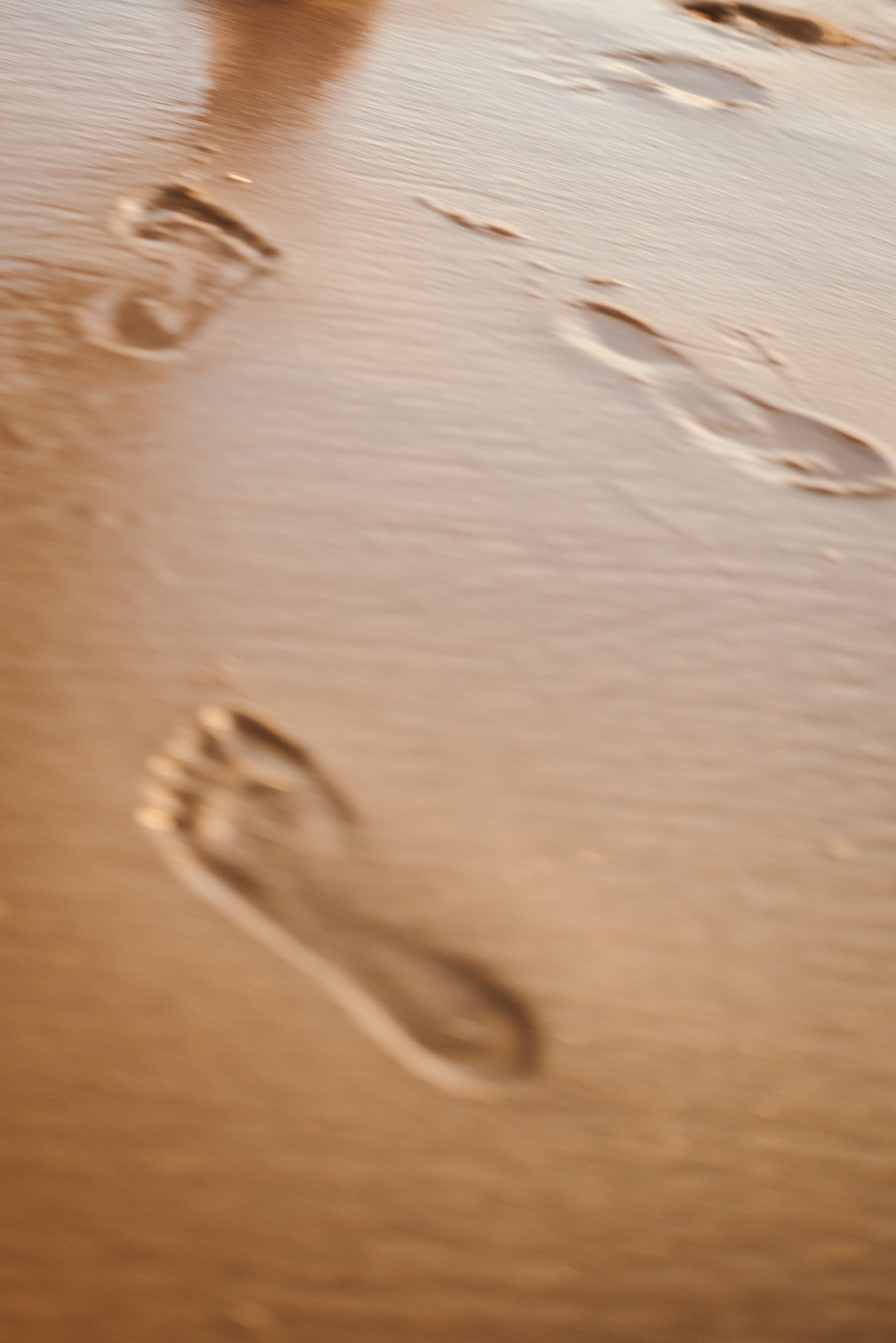 Zuzia i Przemek. Ślubny fotograf Poznań | Oliwia Makara