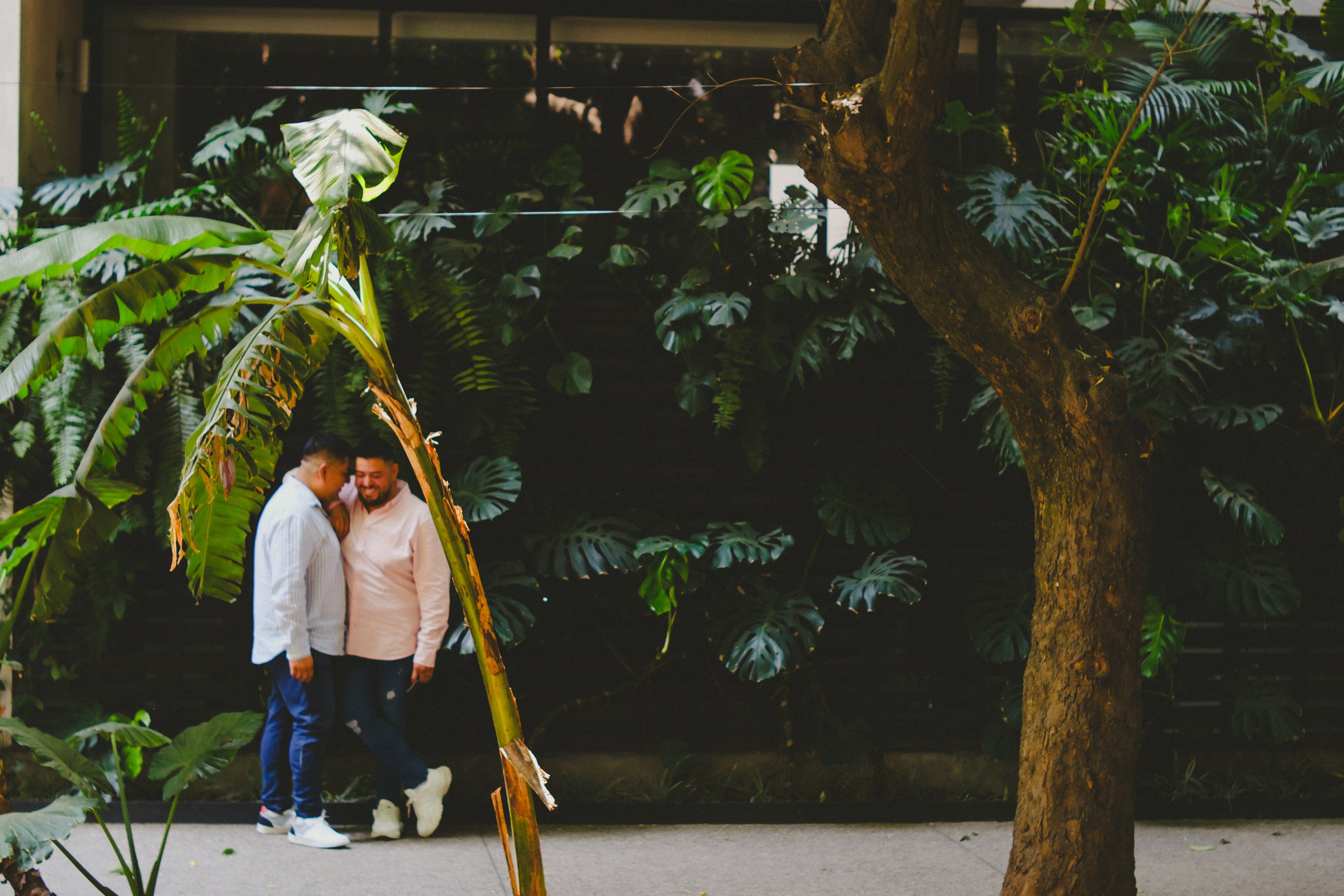 Luis y Hugo. Wedding and family photographer in Mexico City