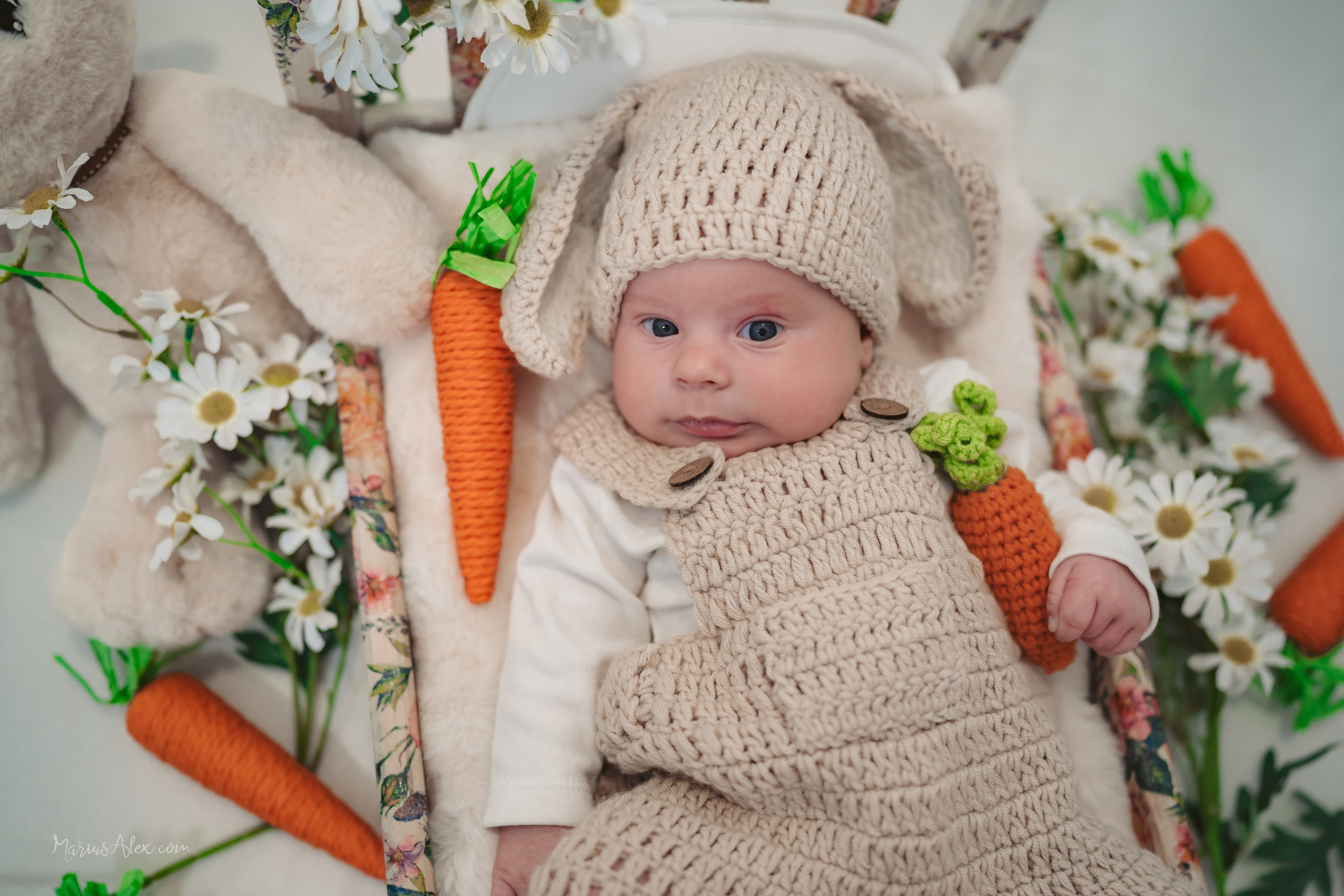 Ștefania Anastasia. Marius Alex fotograf de eveniment si studio din Suceava