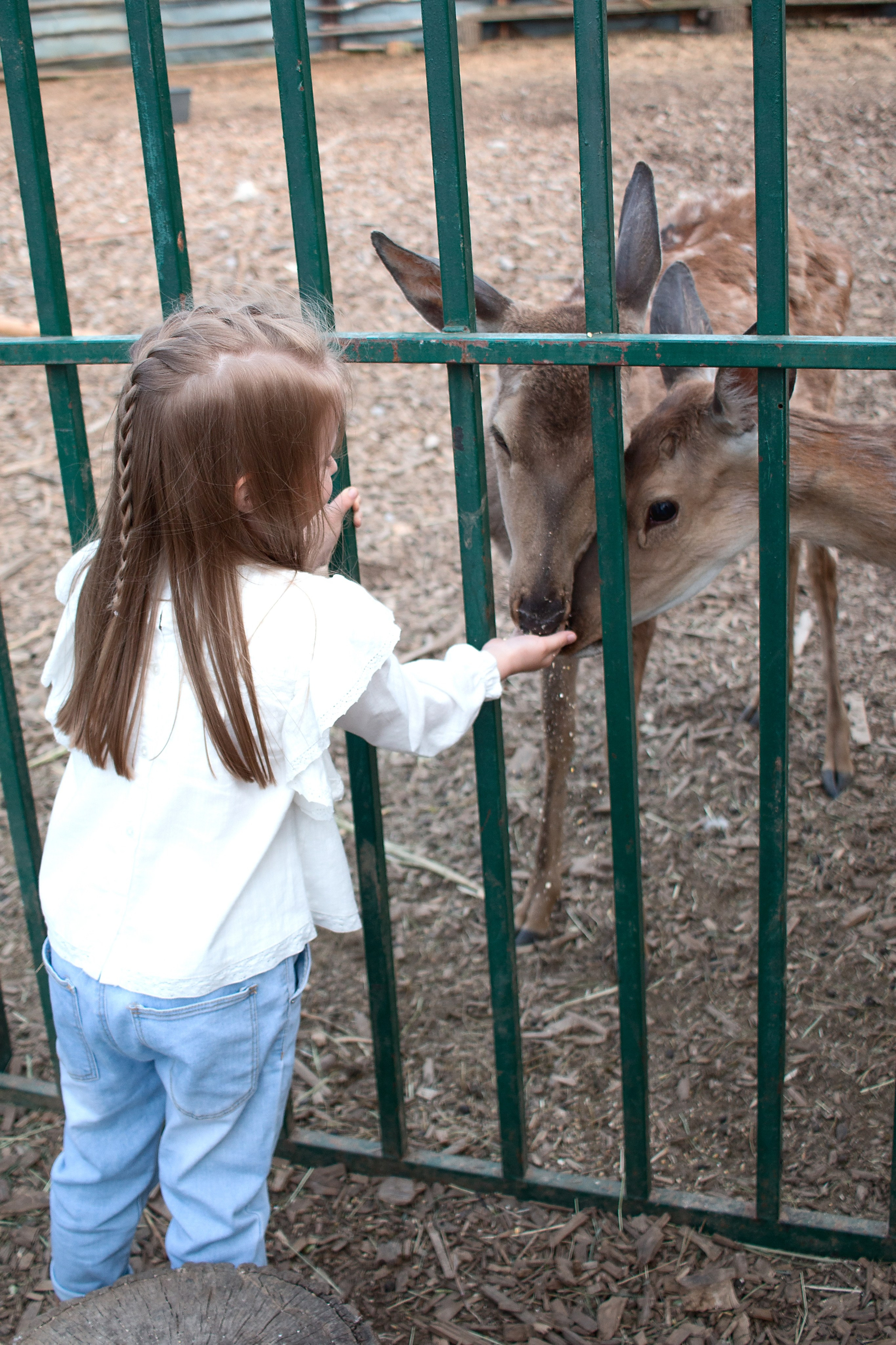 Конюшня. Детский и семейный фотограф в г. Бельцы