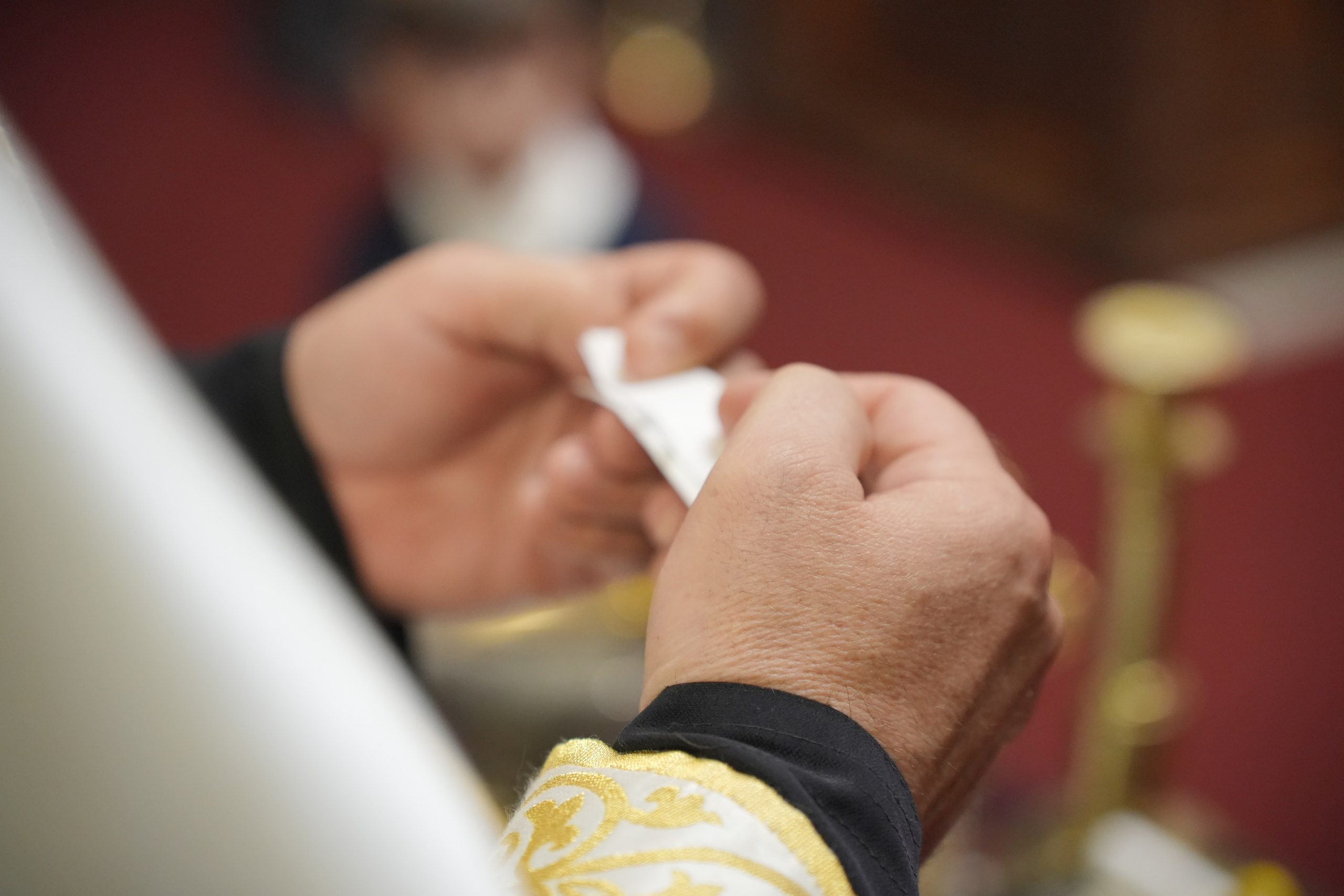 Dimitrije. Marko Superio | Wedding & Portrait Photographer