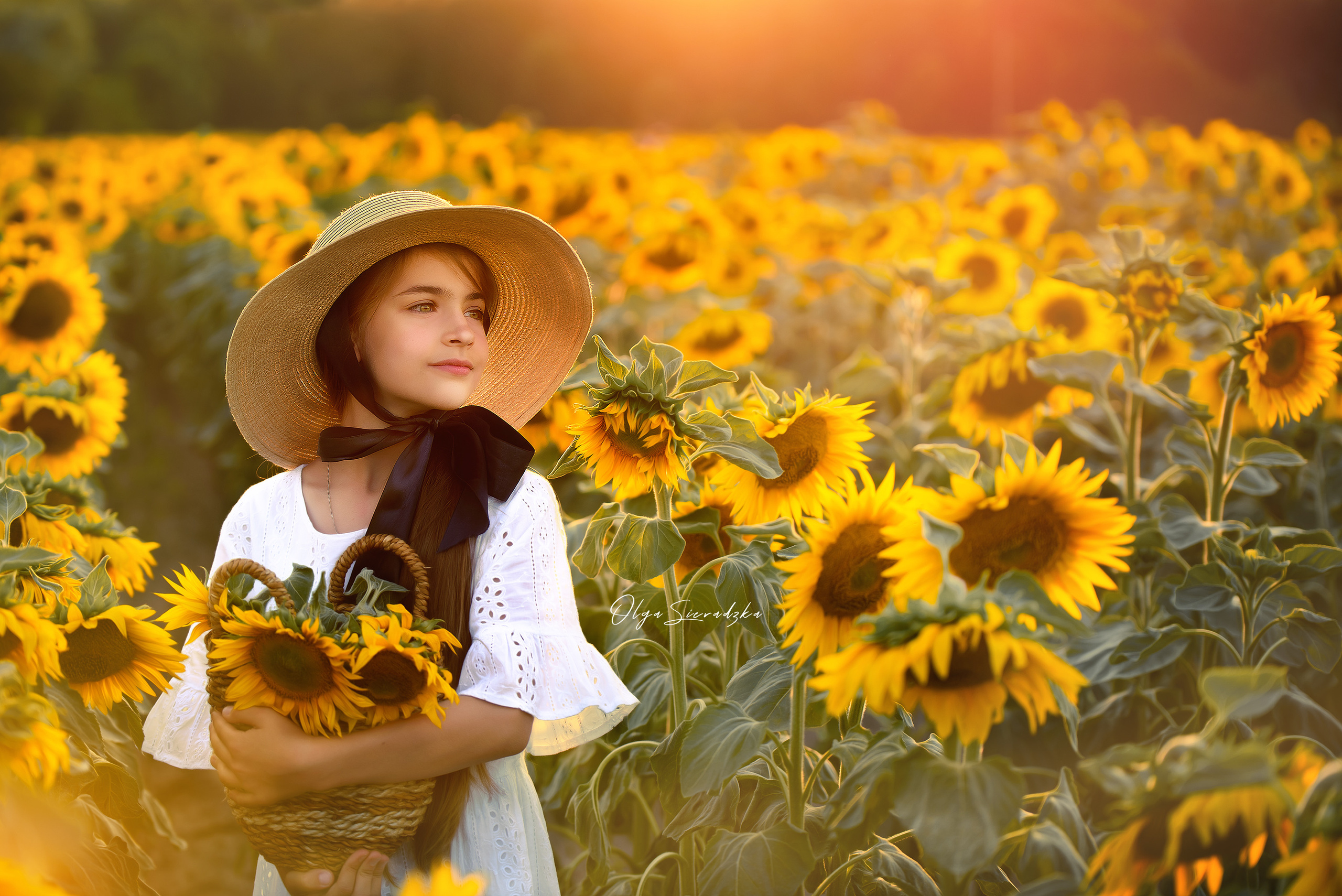 Sesje rodzinne i dziecięce. Olga Sieradzka fotograf rodzinny, ciążowy i dziecięcy w Pile