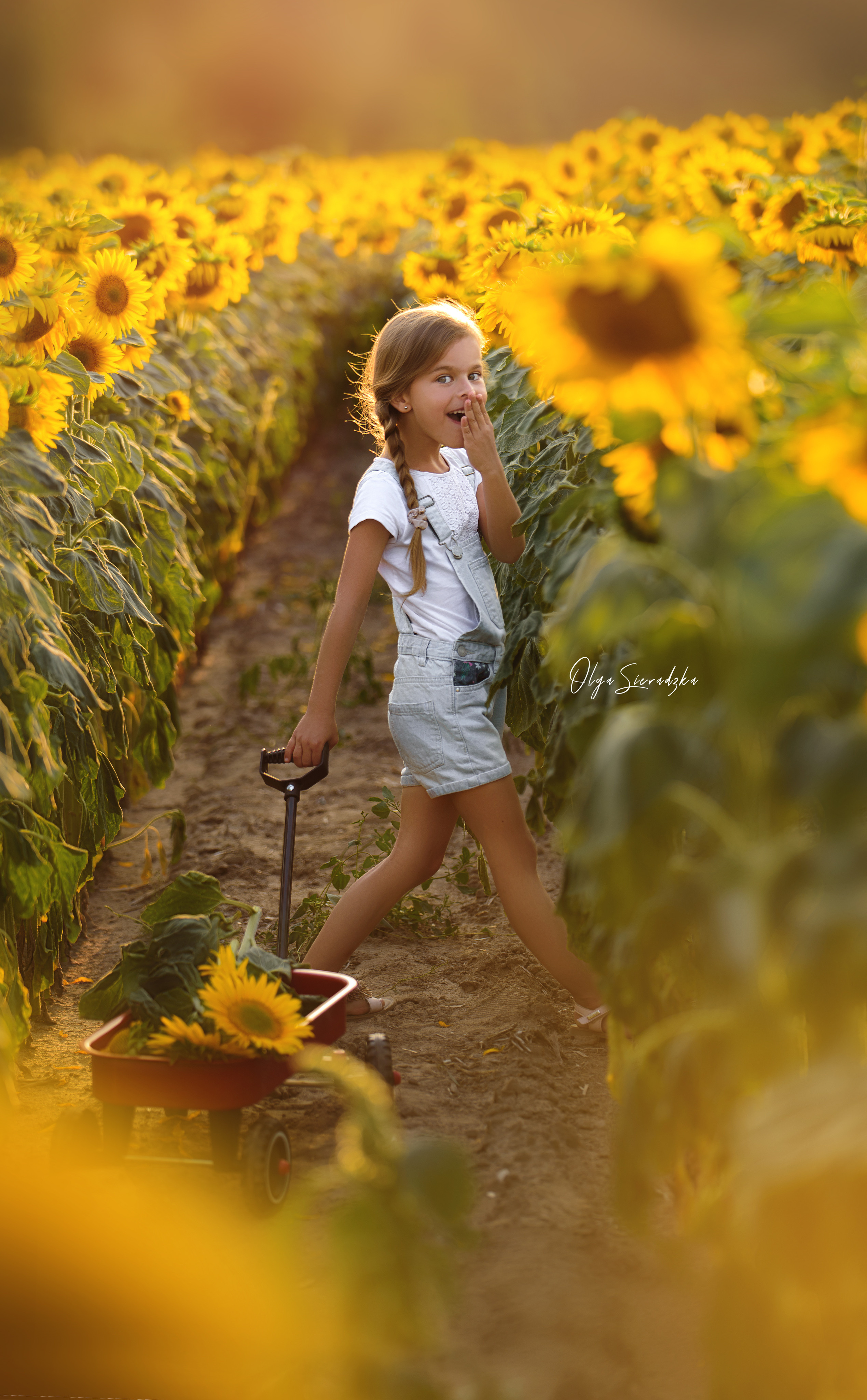 Sesje rodzinne i dziecięce. Olga Sieradzka fotograf rodzinny, ciążowy i dziecięcy w Pile