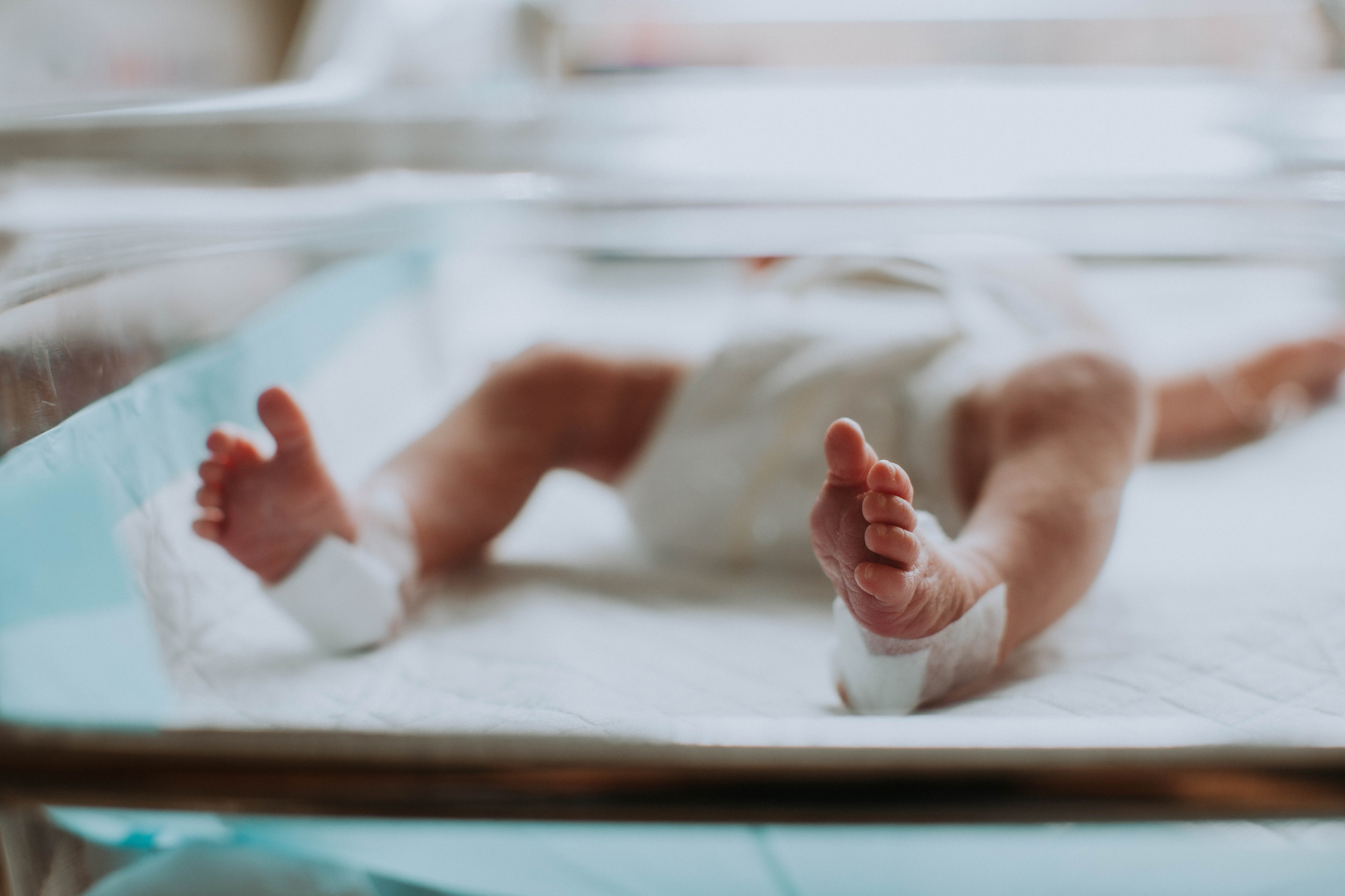 Fresh 48. Фотограф в Испании: Бенисса, Кальпе, Бенидорм, Аликанте Виктория Гунн