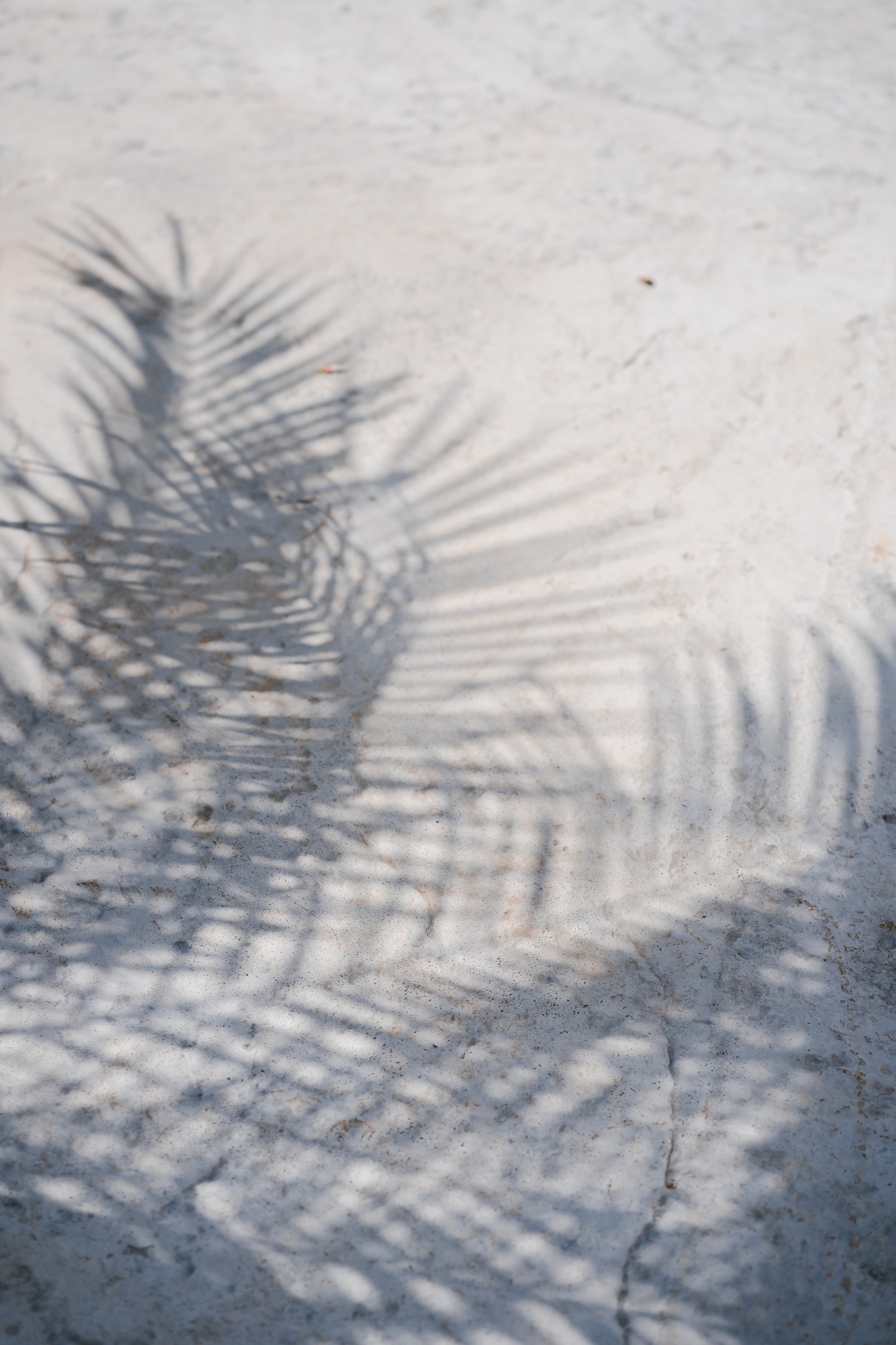 A&L. Fotógrafa de bodas y familias en España, Valencia: Nadia ProFoto
