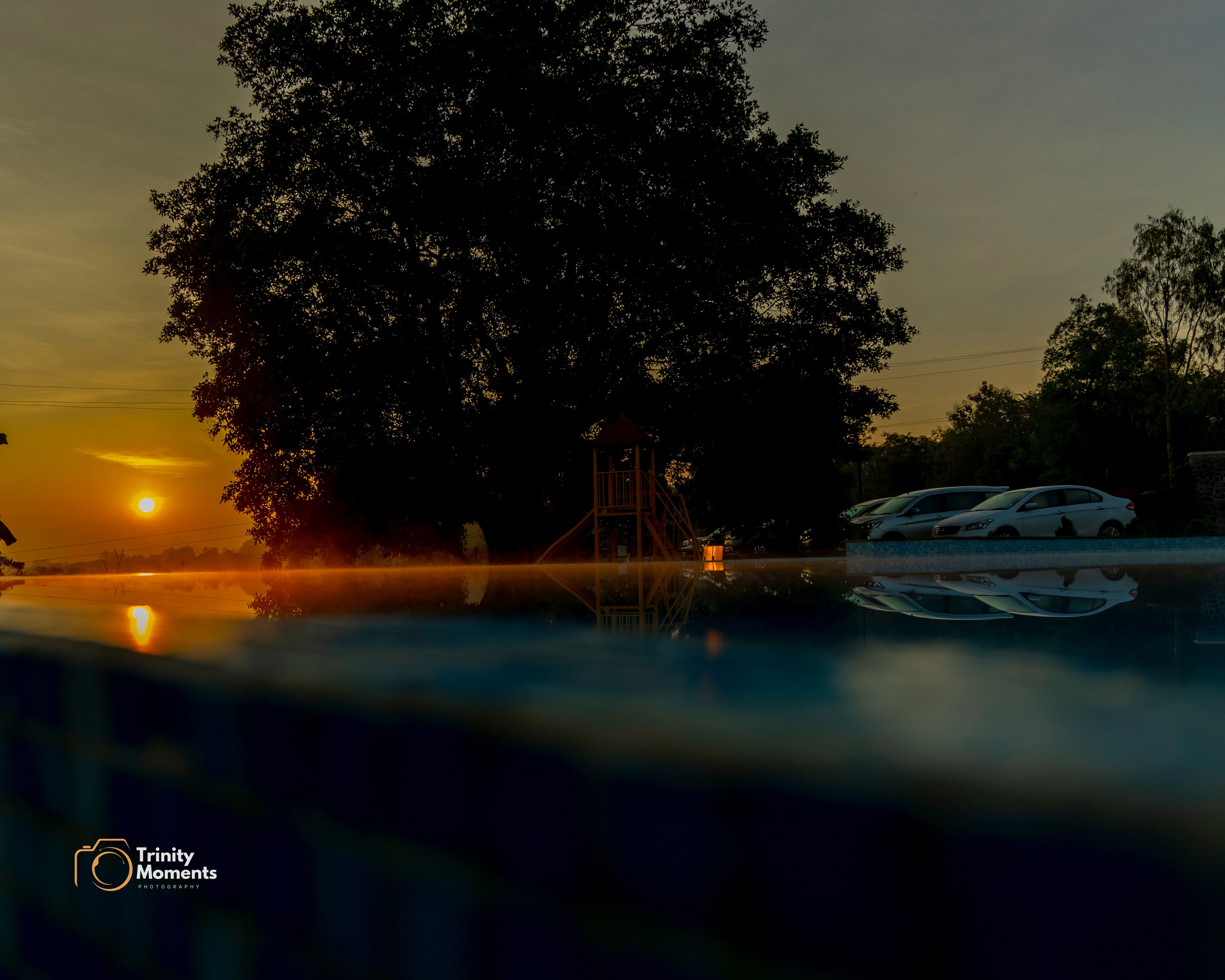 Cricket and sports photography