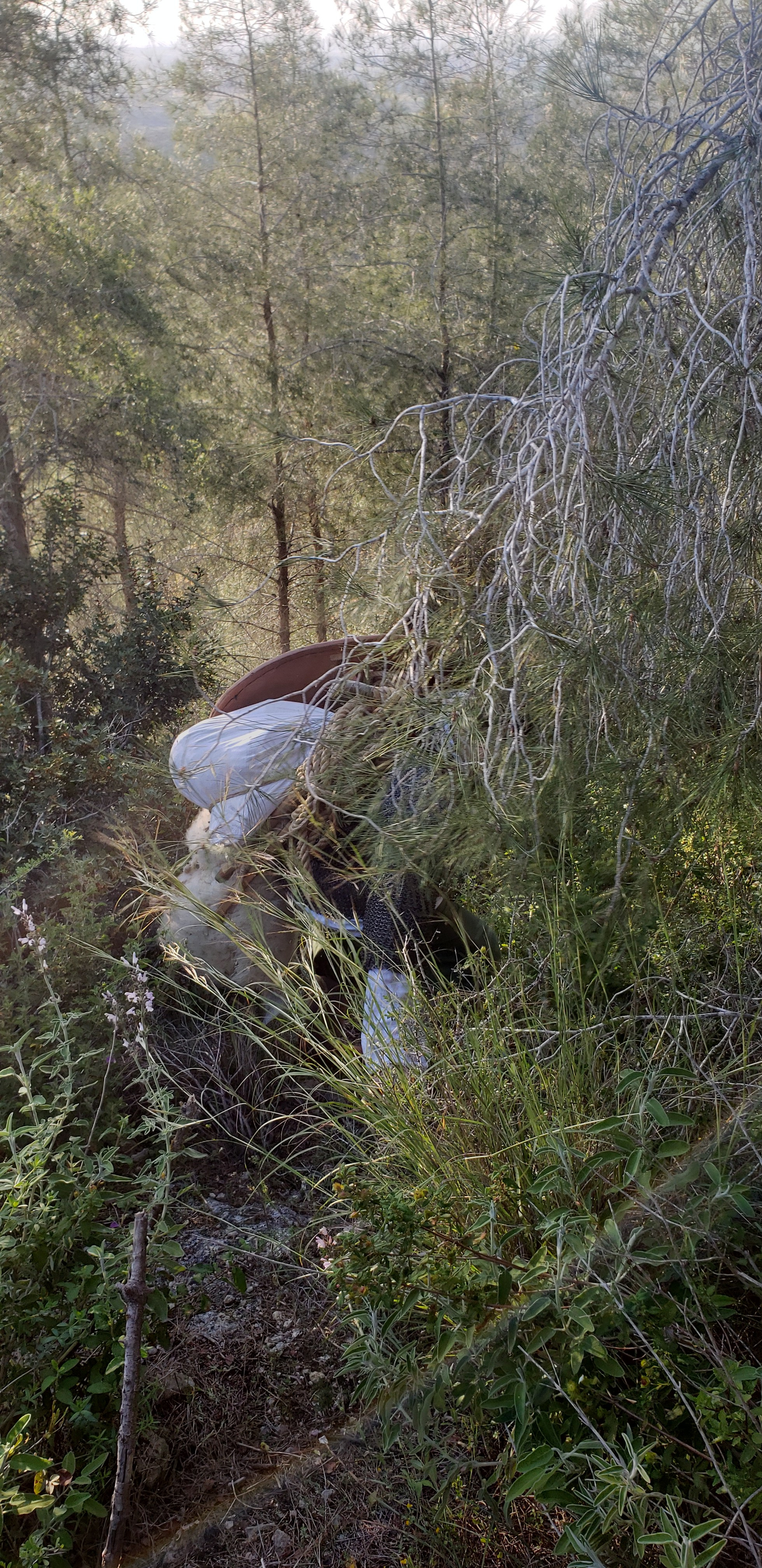 Реконстукционный поход Парк Британия. КРиС «Нортман»