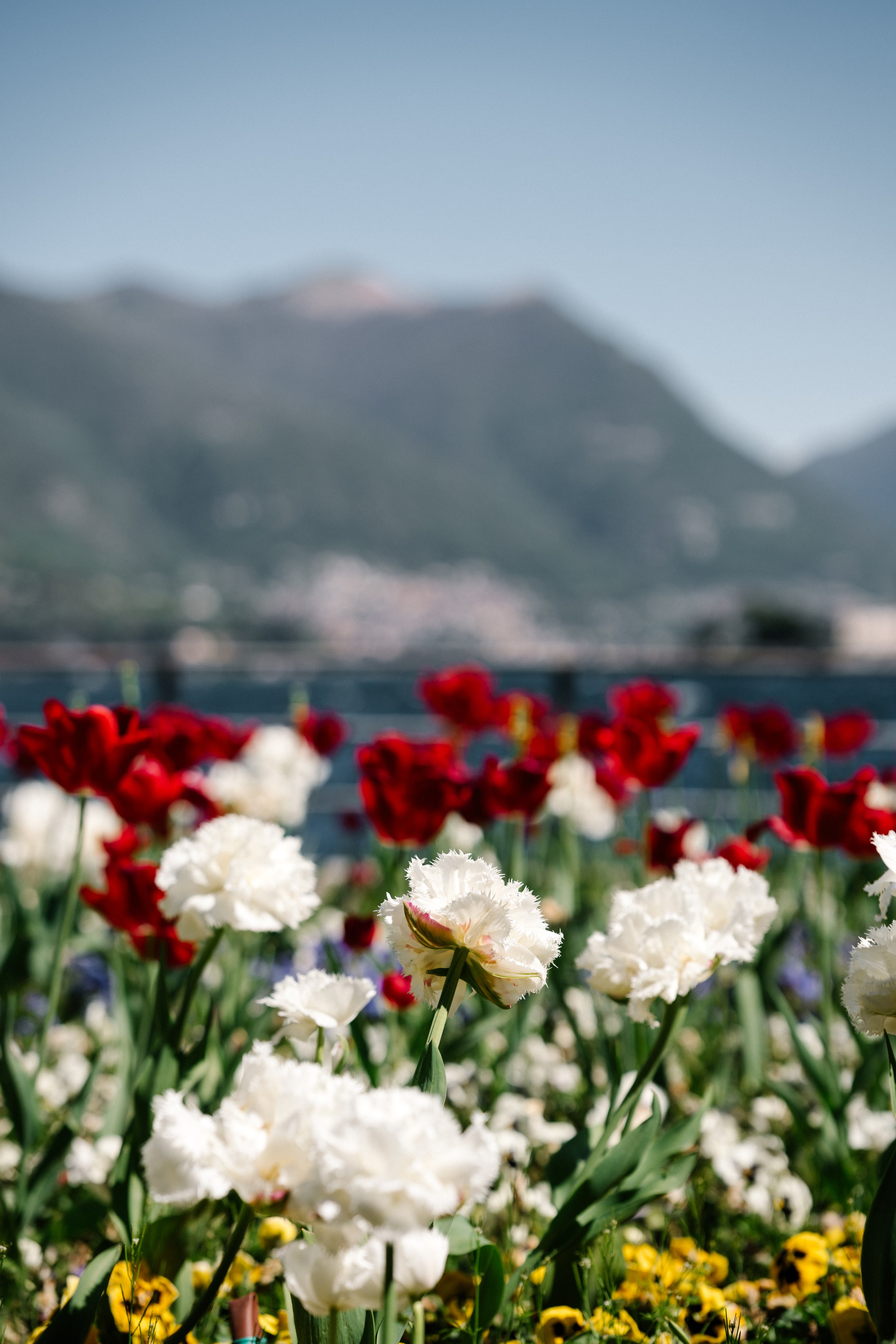 Pre-wedding. Fotografa Rimini