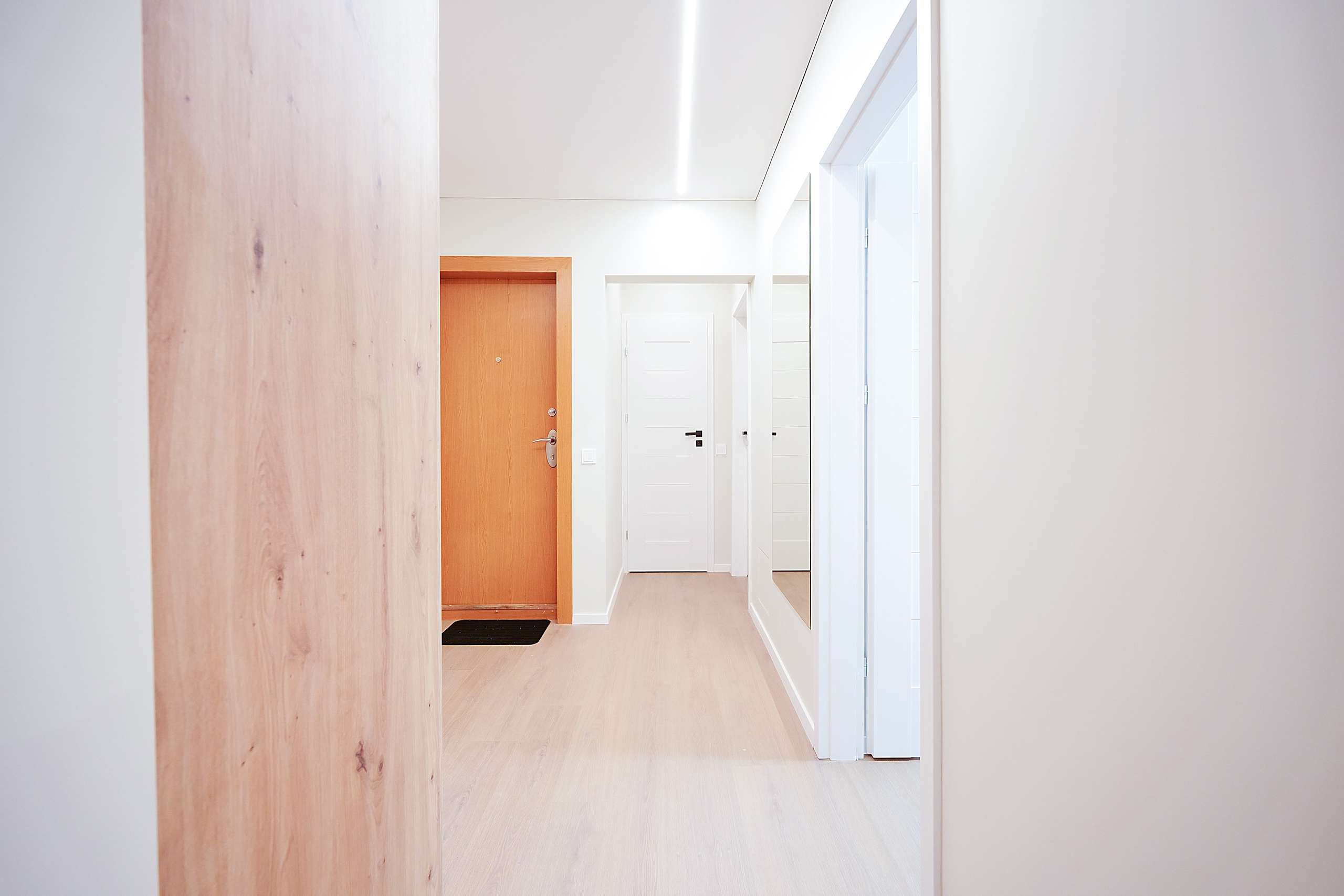 Stanevičiaus g. 82. Elina Sapiega fotografė Vilniuje