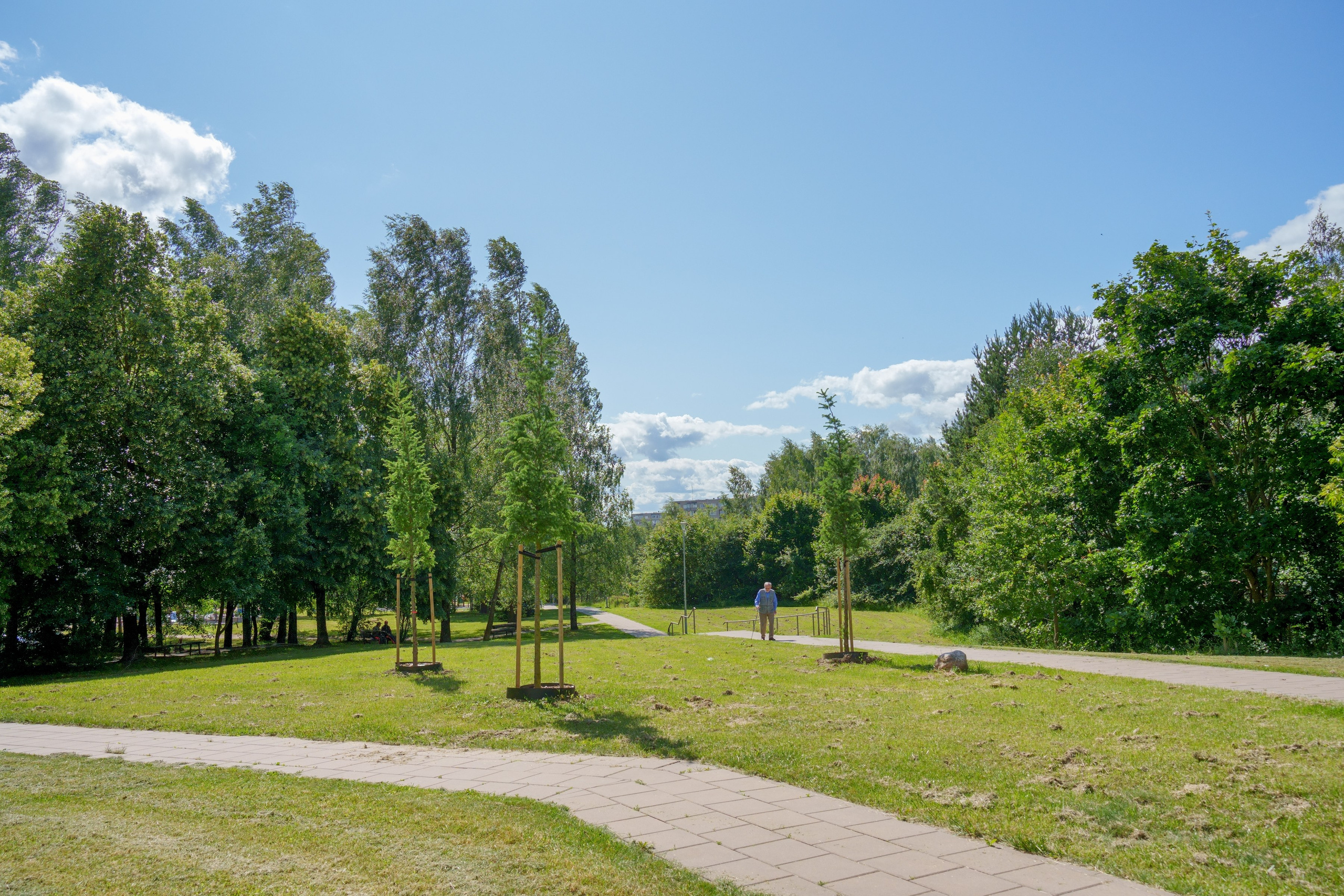 Viršuliškių g. 29. Elina Sapiega fotografė Vilniuje