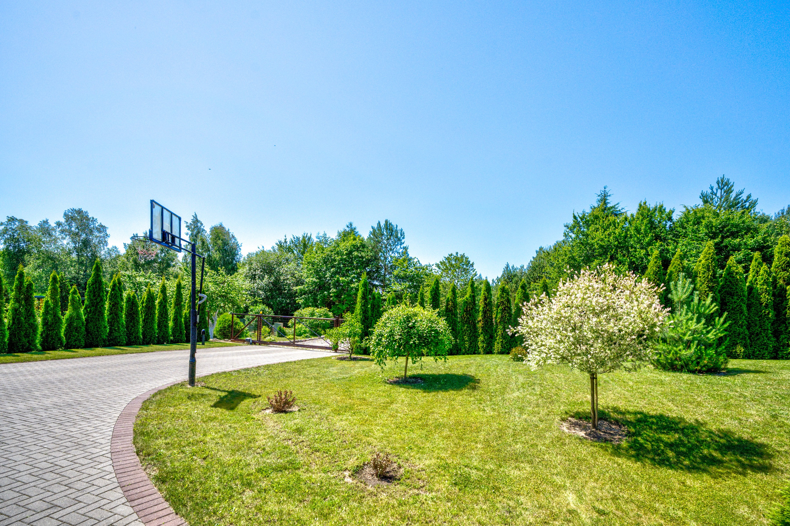 Žudiškių k. Ežero g. 70, Rešes sen. Elina Sapiega fotografė Vilniuje