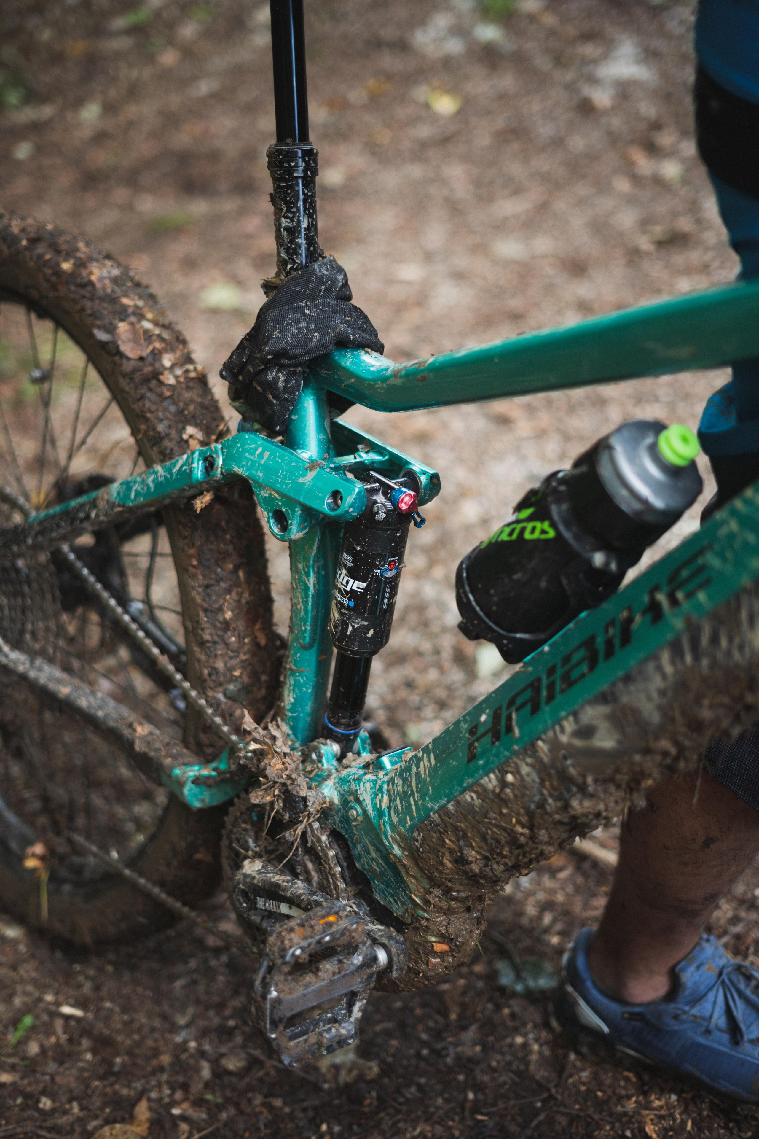 Tour de Fruska. Zhukov studio