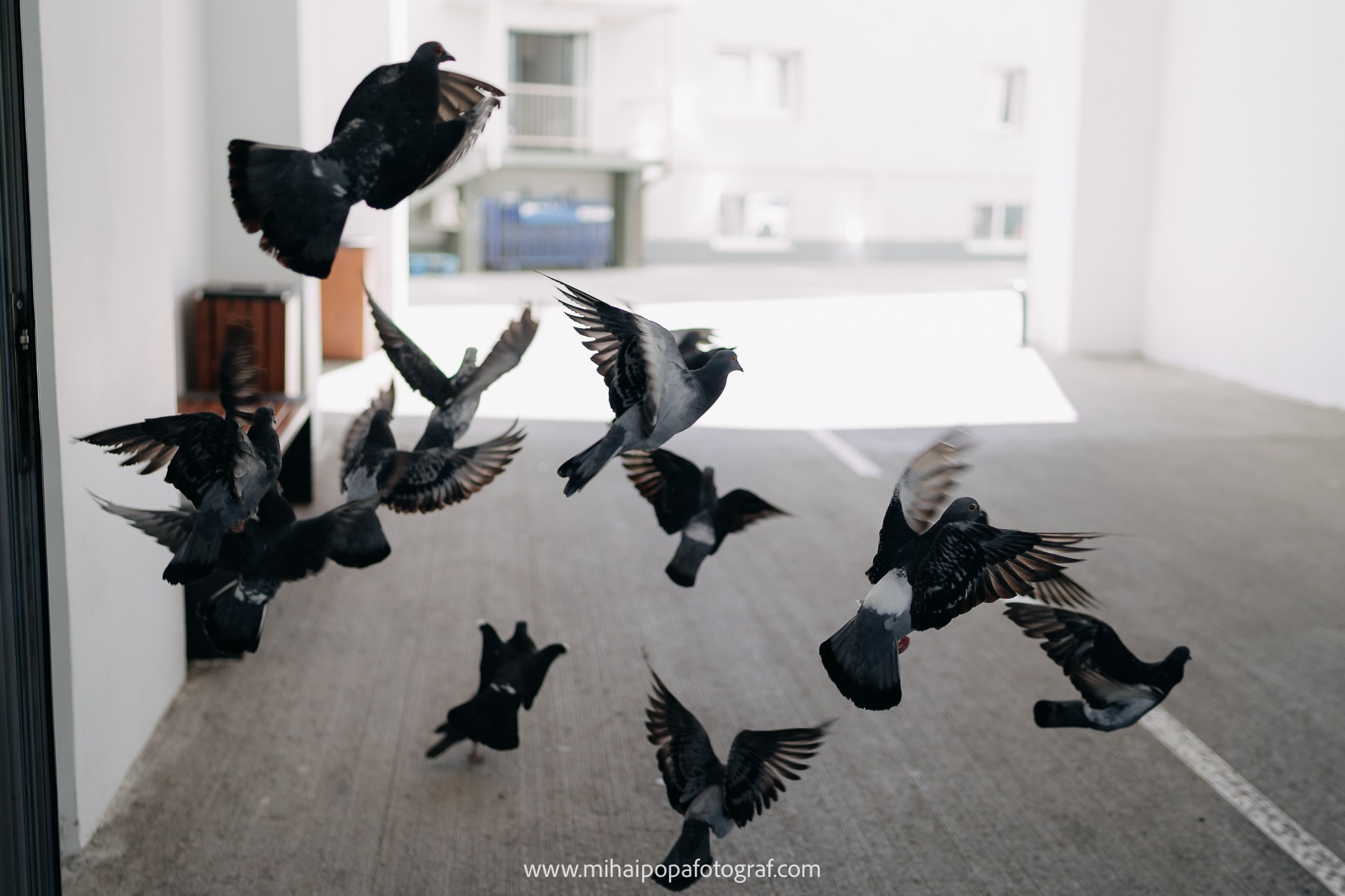 Fotograf Cununie Civilă în București - Mihai Popa Fotograf. Fotograf Nuntă & Botez București - Mihai Popa | Dincolo de oameni, imortalizez emoții!