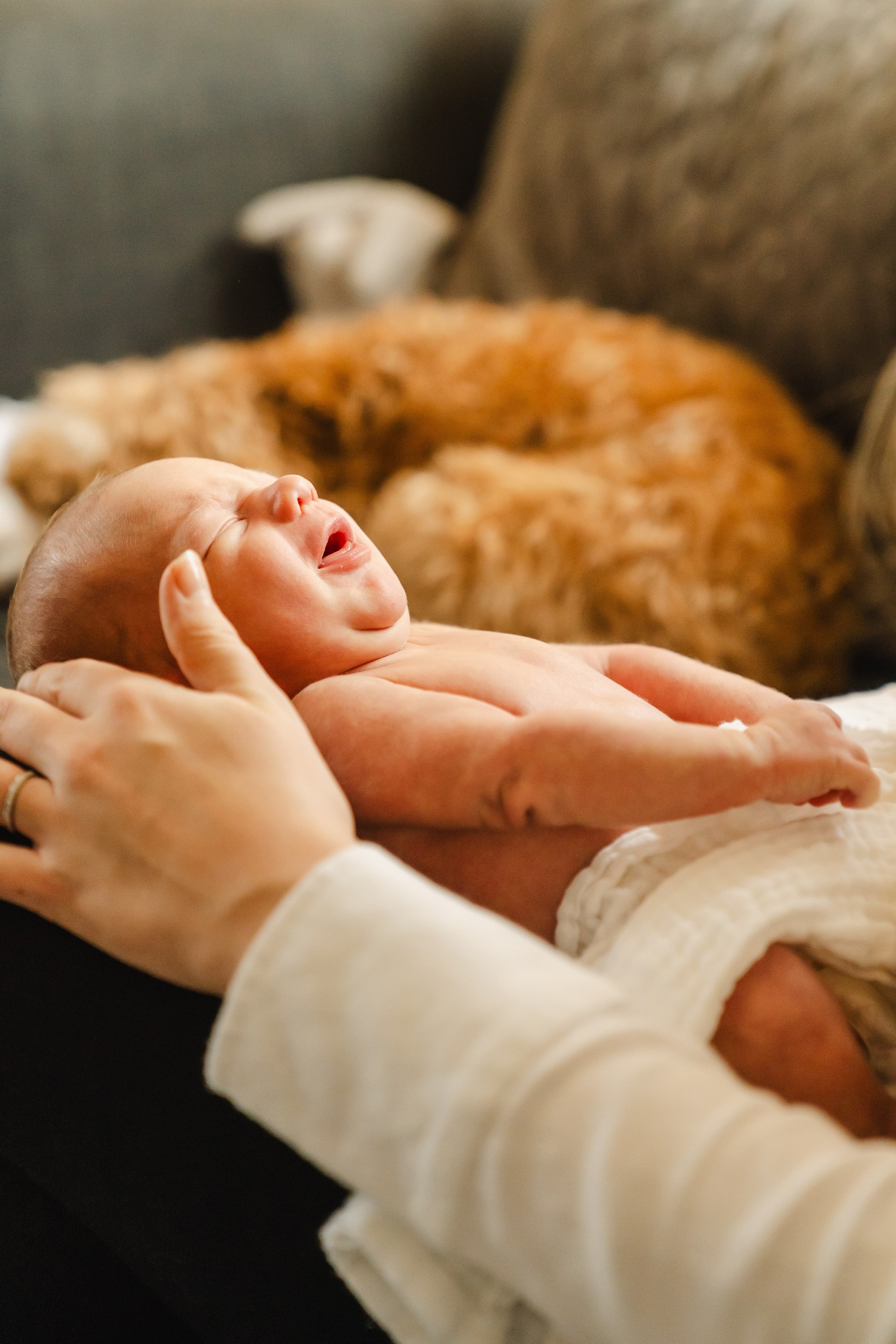 Welcome Baby Jude Alexander. Newcastle Upon Tyne Photographer Yana Balatskaya