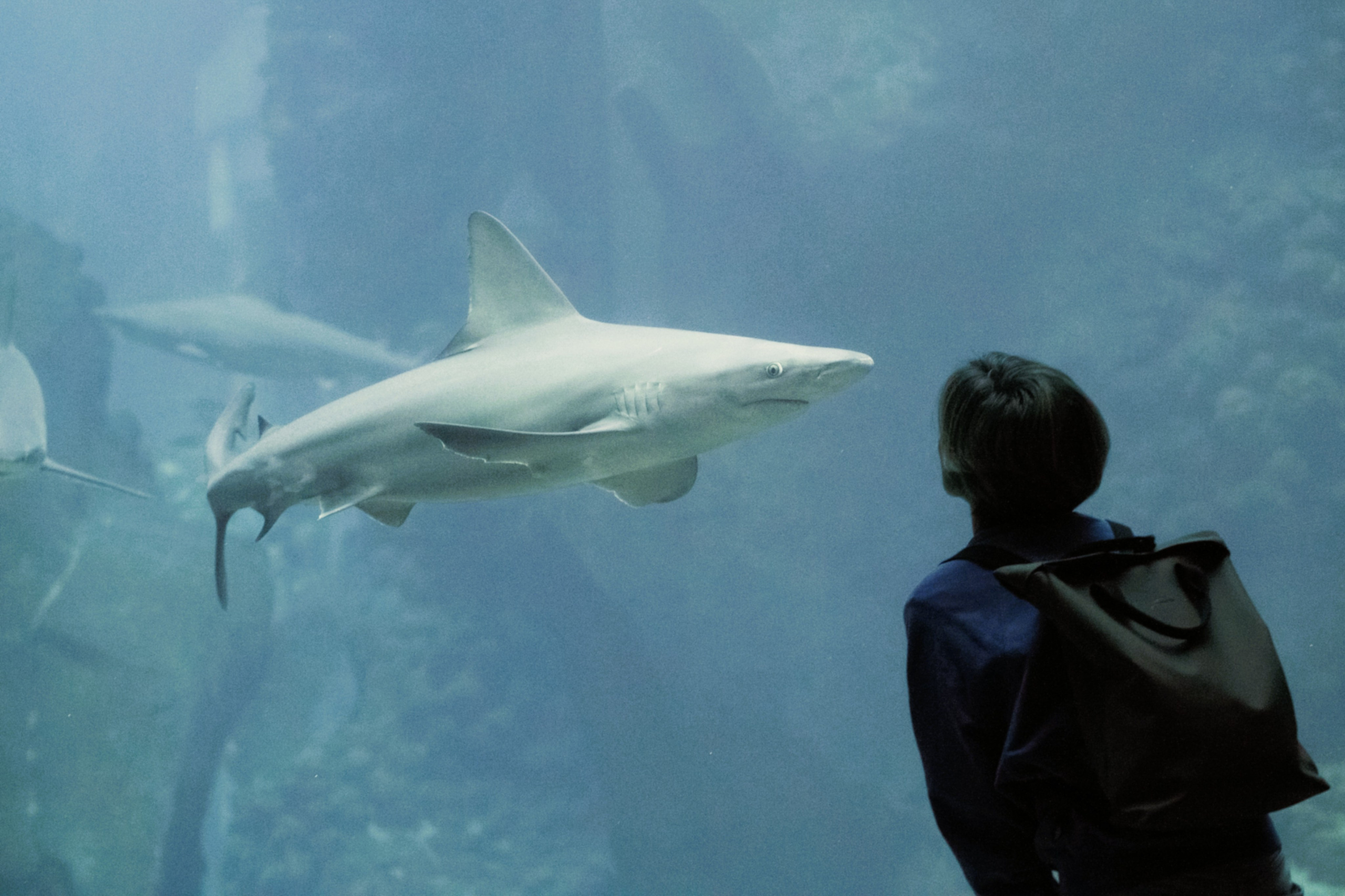 Tierwelt. Bürgerreporter & Amateurfotograf in Hannover