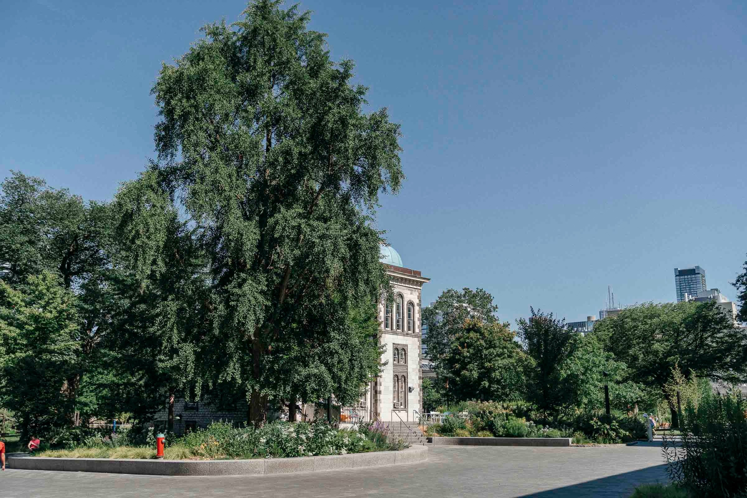 Ksenia & Artem’s Candid Engagement Photos | Documentary-Style Engagement Photography | Toronto, GTA, Vaughan, Mississauga. Storytellers Films — Candid Wedding Videographer & Photographer in Toronto, Ontario and beyond