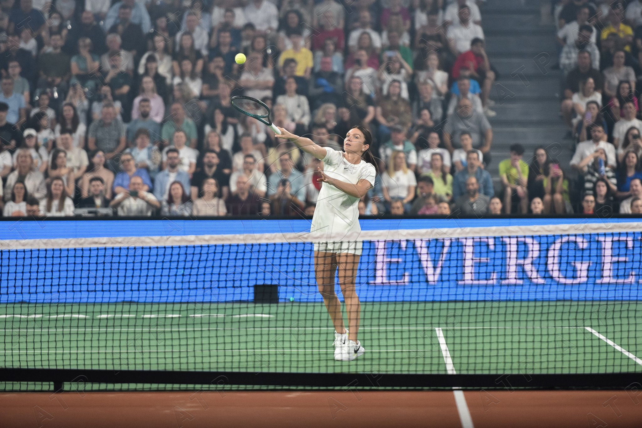Tenis. Vescan Pictures - fotografie de eveniment